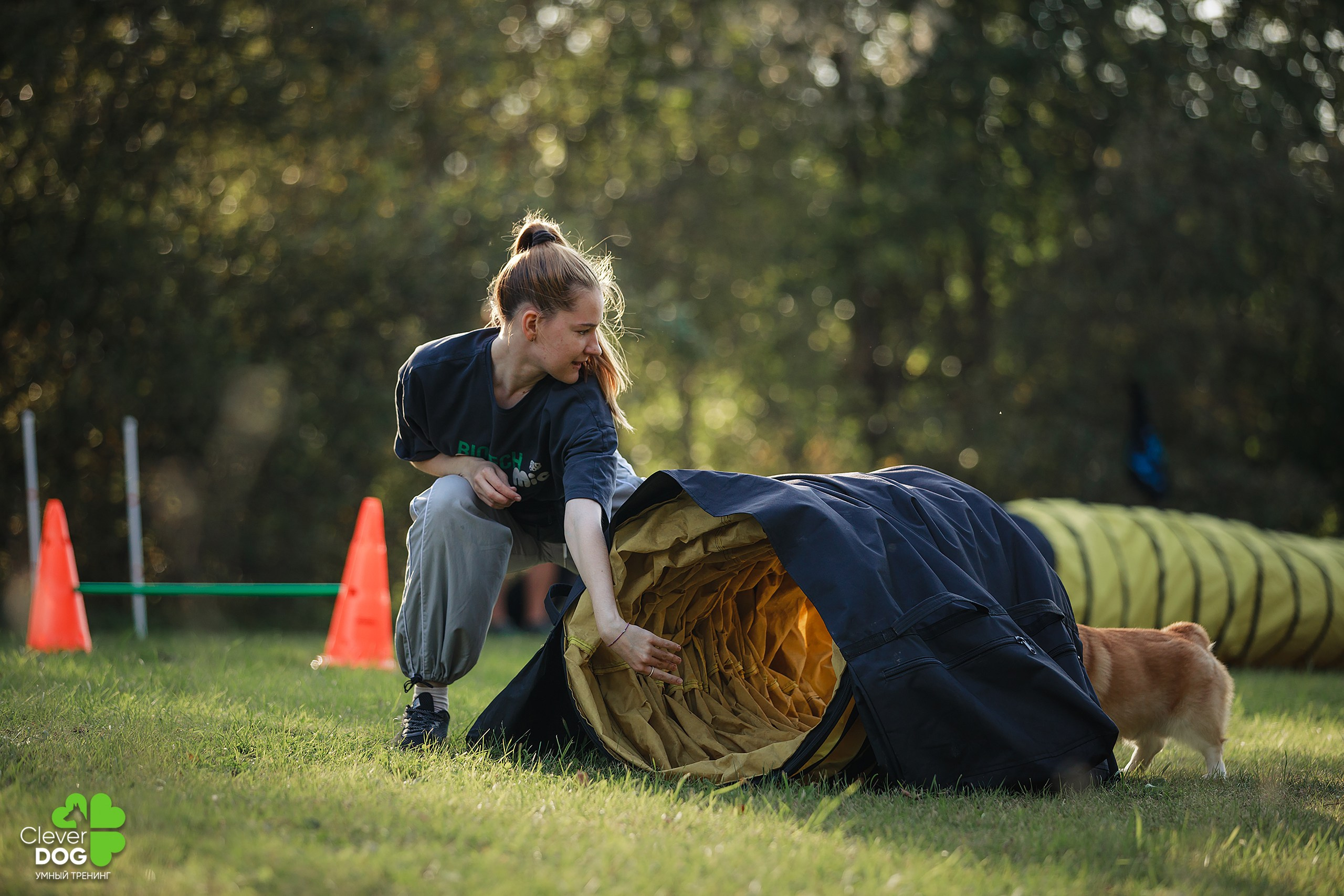 Кинологический лагерь CleverDog, 2024. Фотограф-анималист Mary Mart — Москва, Питер