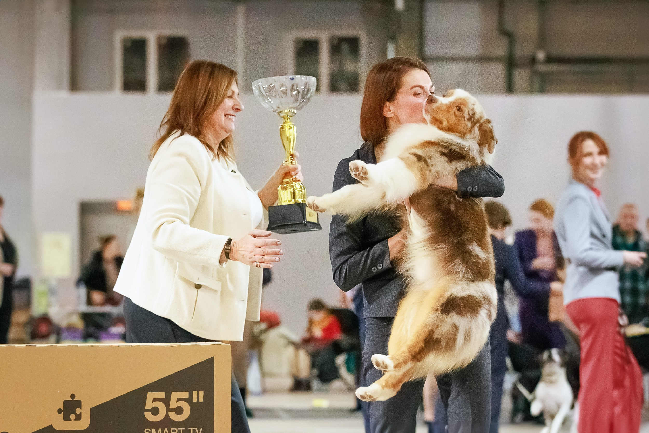 Бронницы. Фотограф анималист, семейный фотограф, фотограф собак Комратова Мария. г. Москва