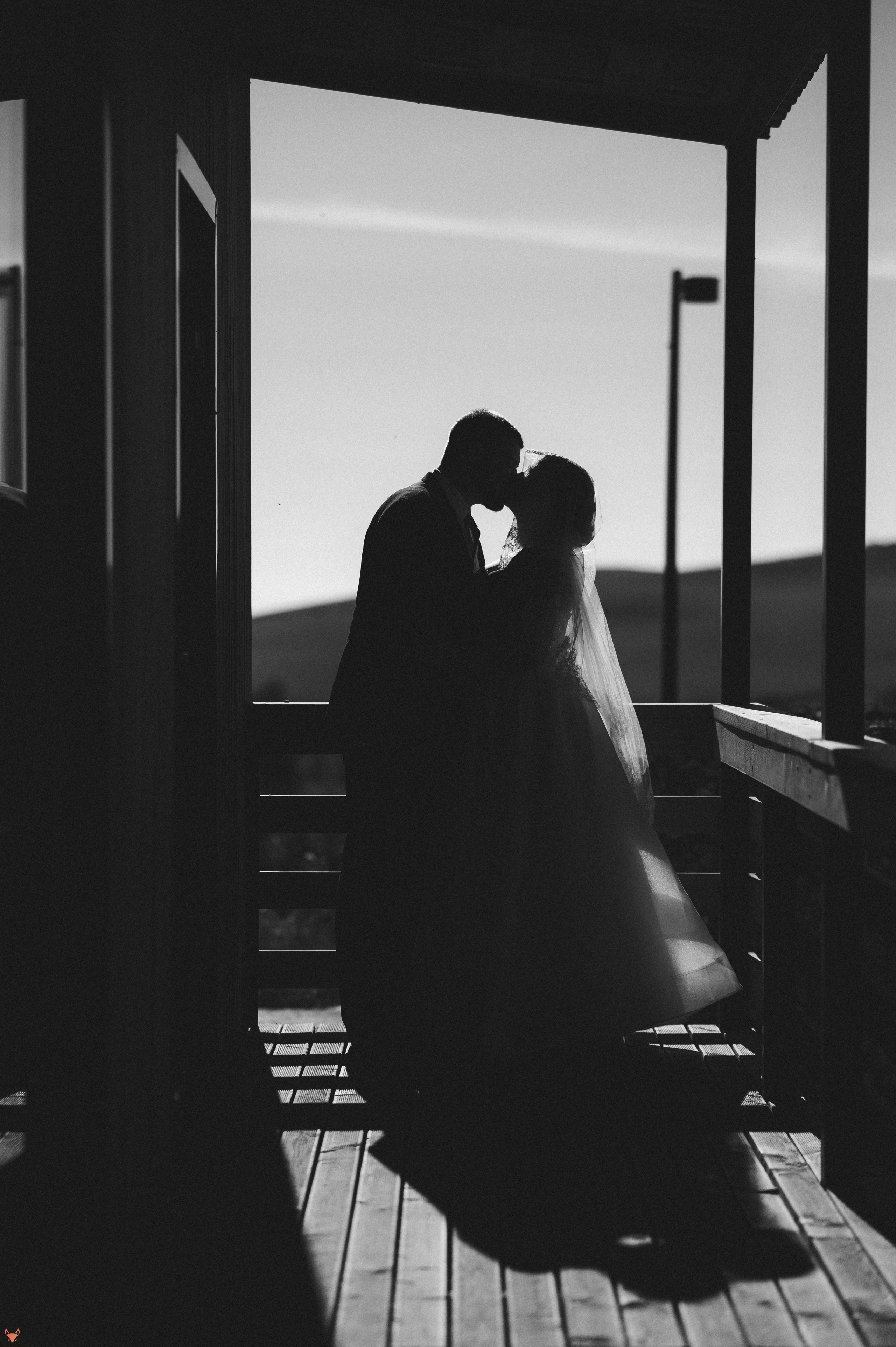 Wedding 20 09 24. Свадебный Фотограф Абакан