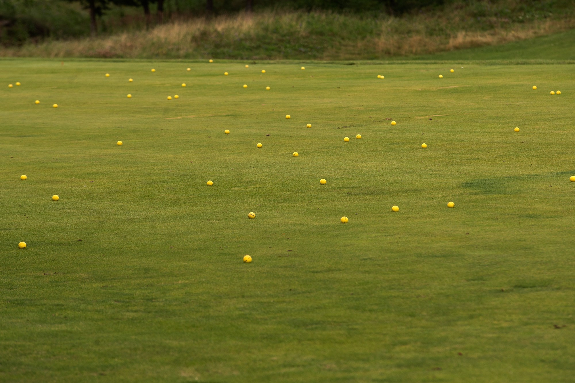 Спорт. Репортажный фотограф в Москве Дмитрий Николаев