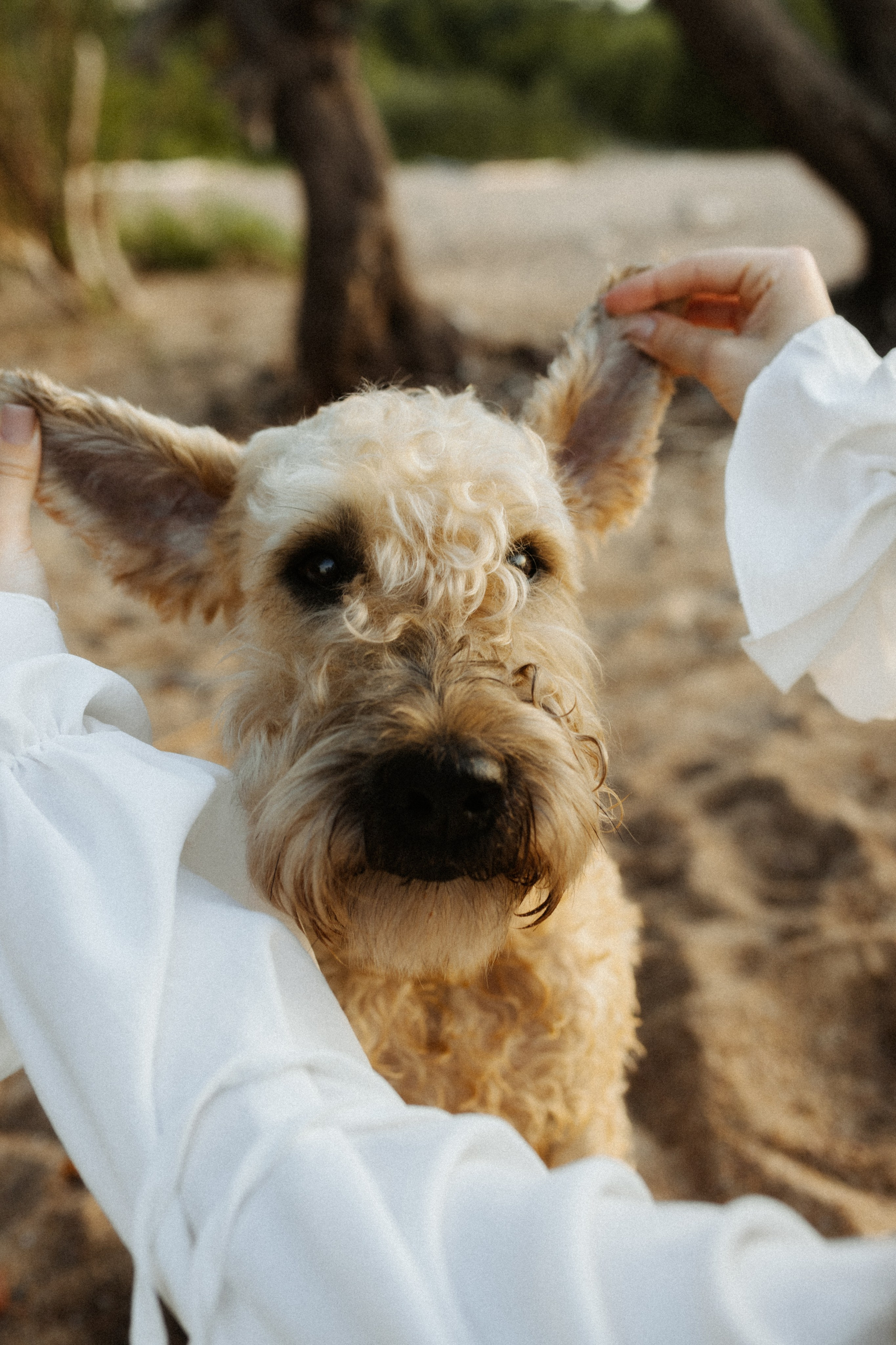 Аня, Влад и Джек. Фотограф в Санкт-Петербурге