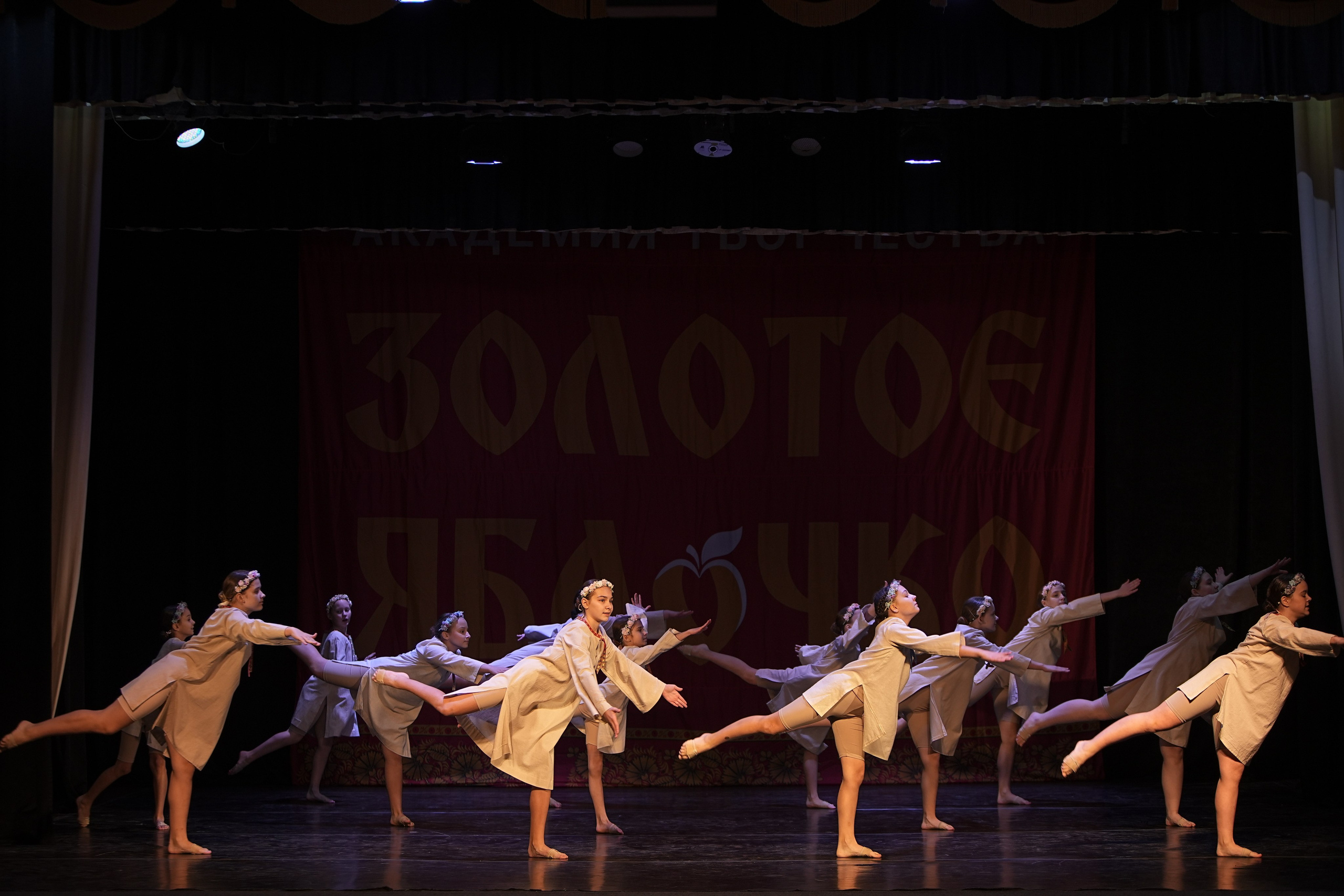 14 декабря, г. Тула. Золотое яблочко