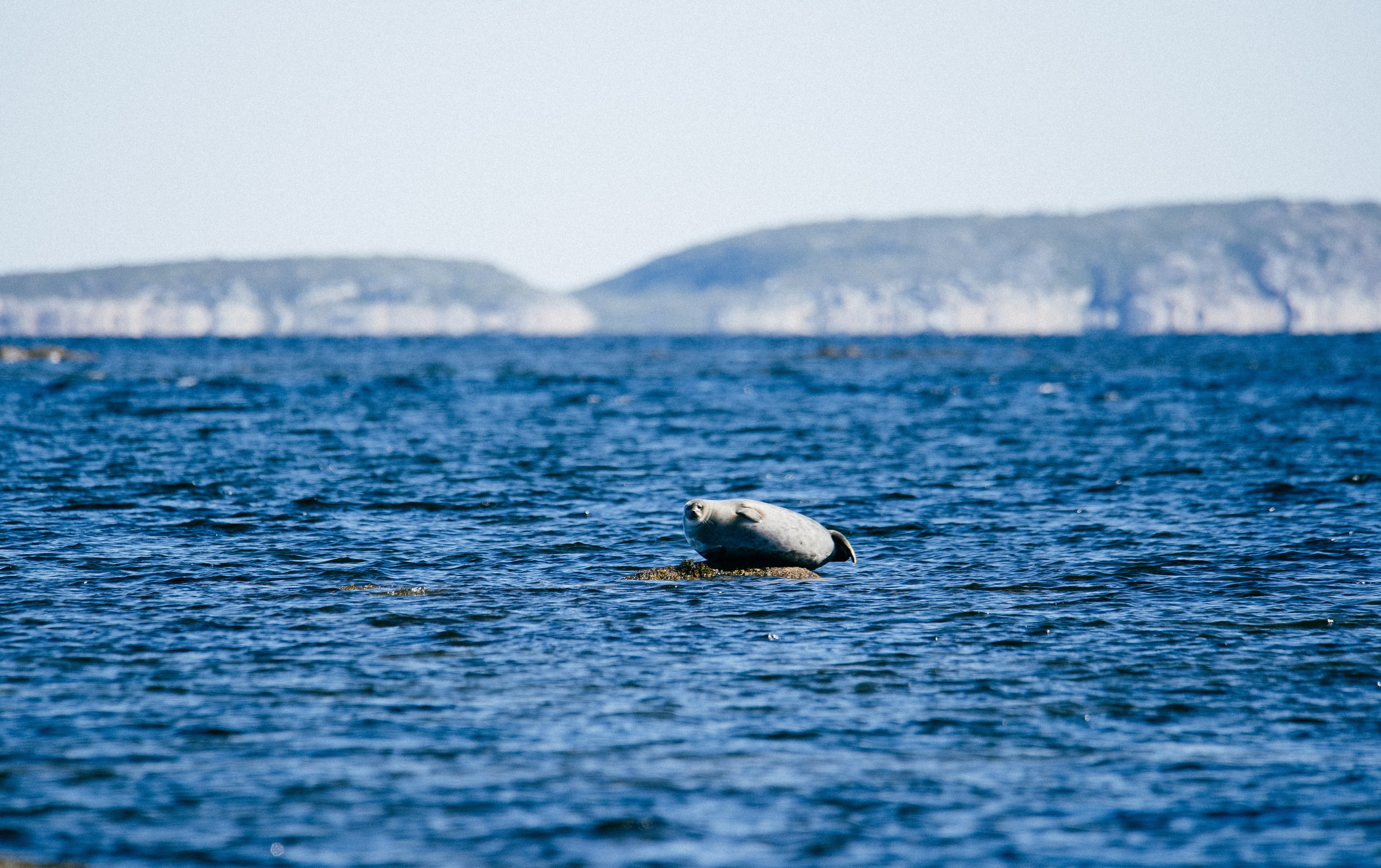 ЭТНОПАРК ГЕОГРАФИКА. Создание контента | Фото | Видеосъемка | Александр Ярков