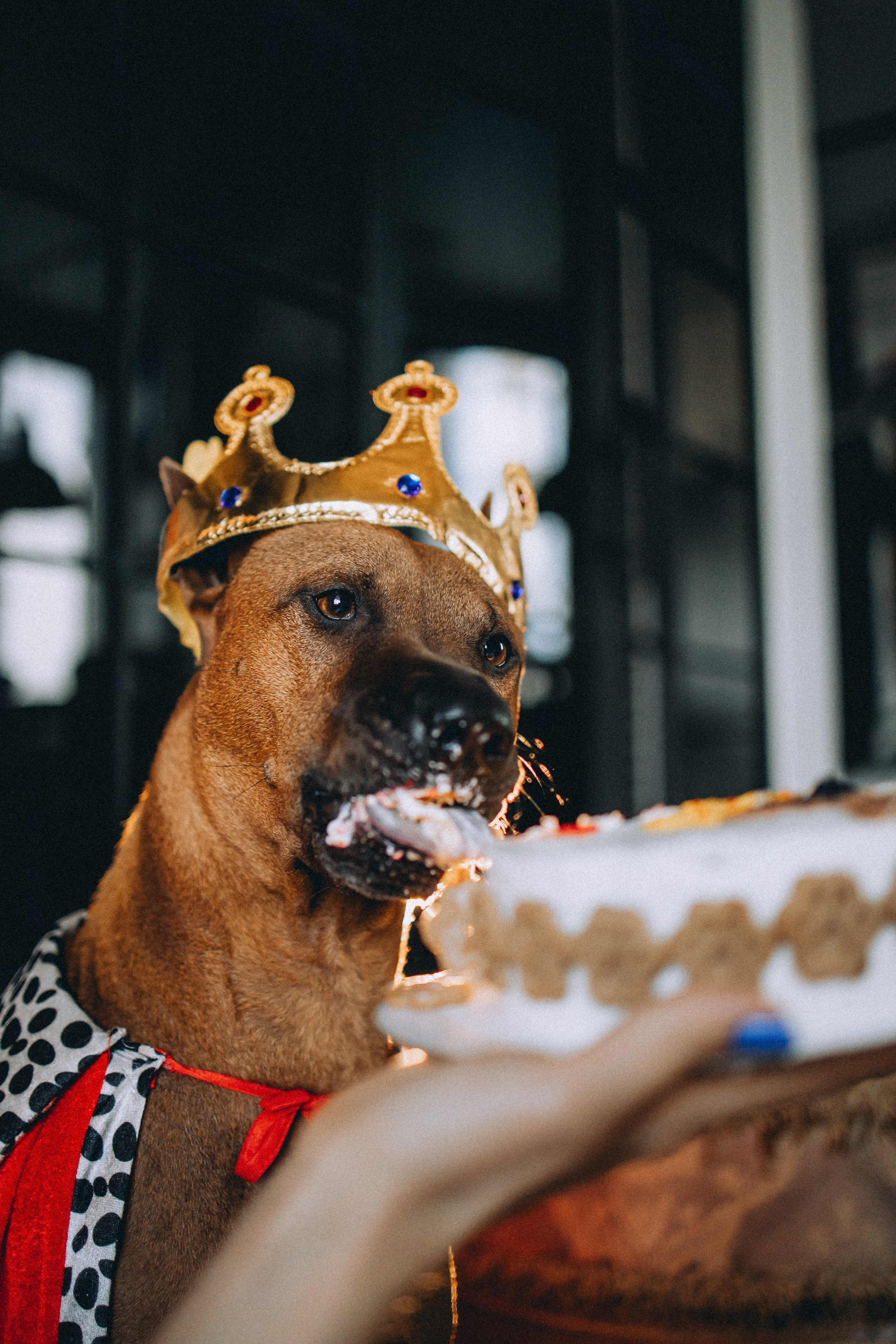 Оксана и Зевс