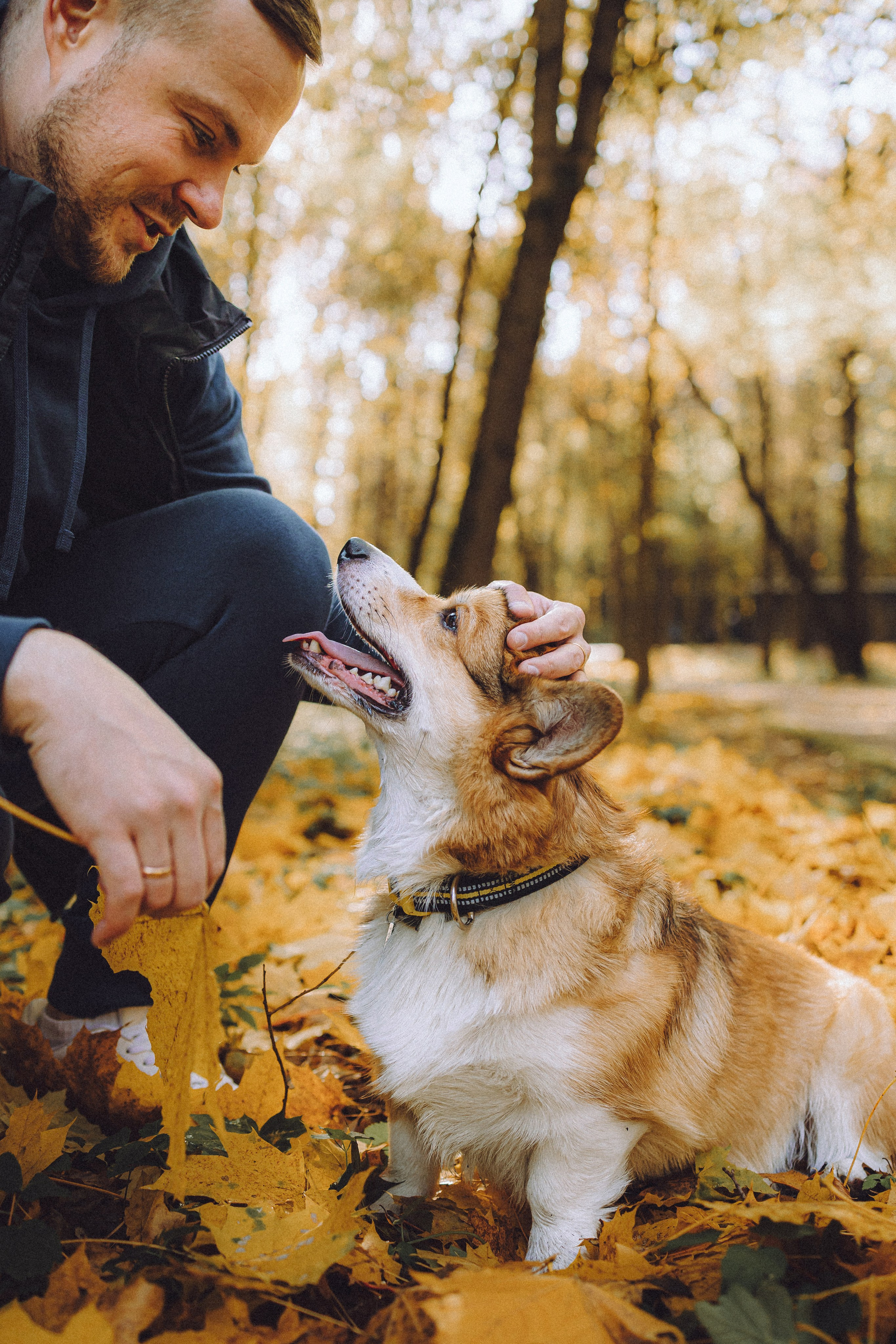 Карина, Даня и Аркаша
