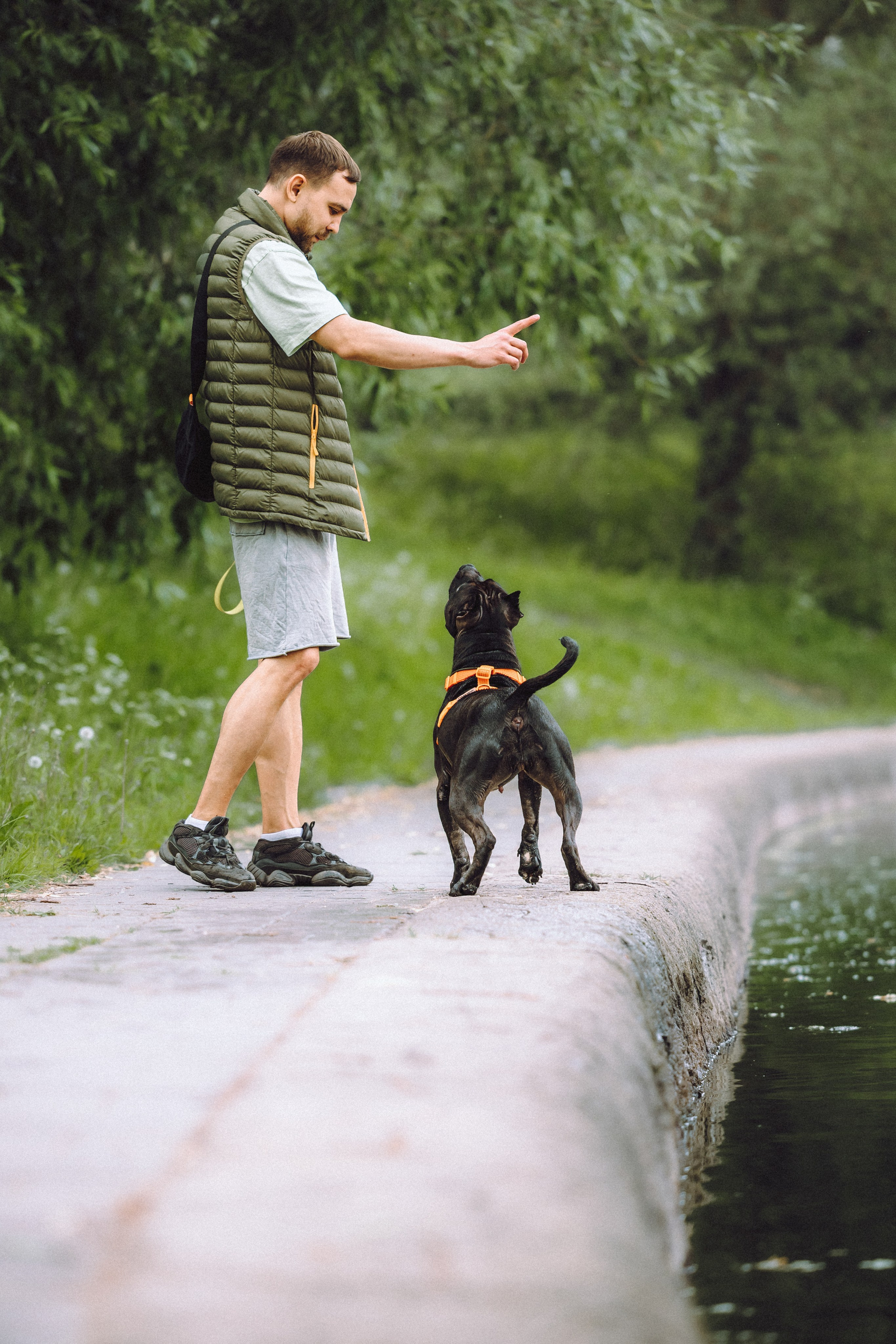 Паша, Хайди и Тея