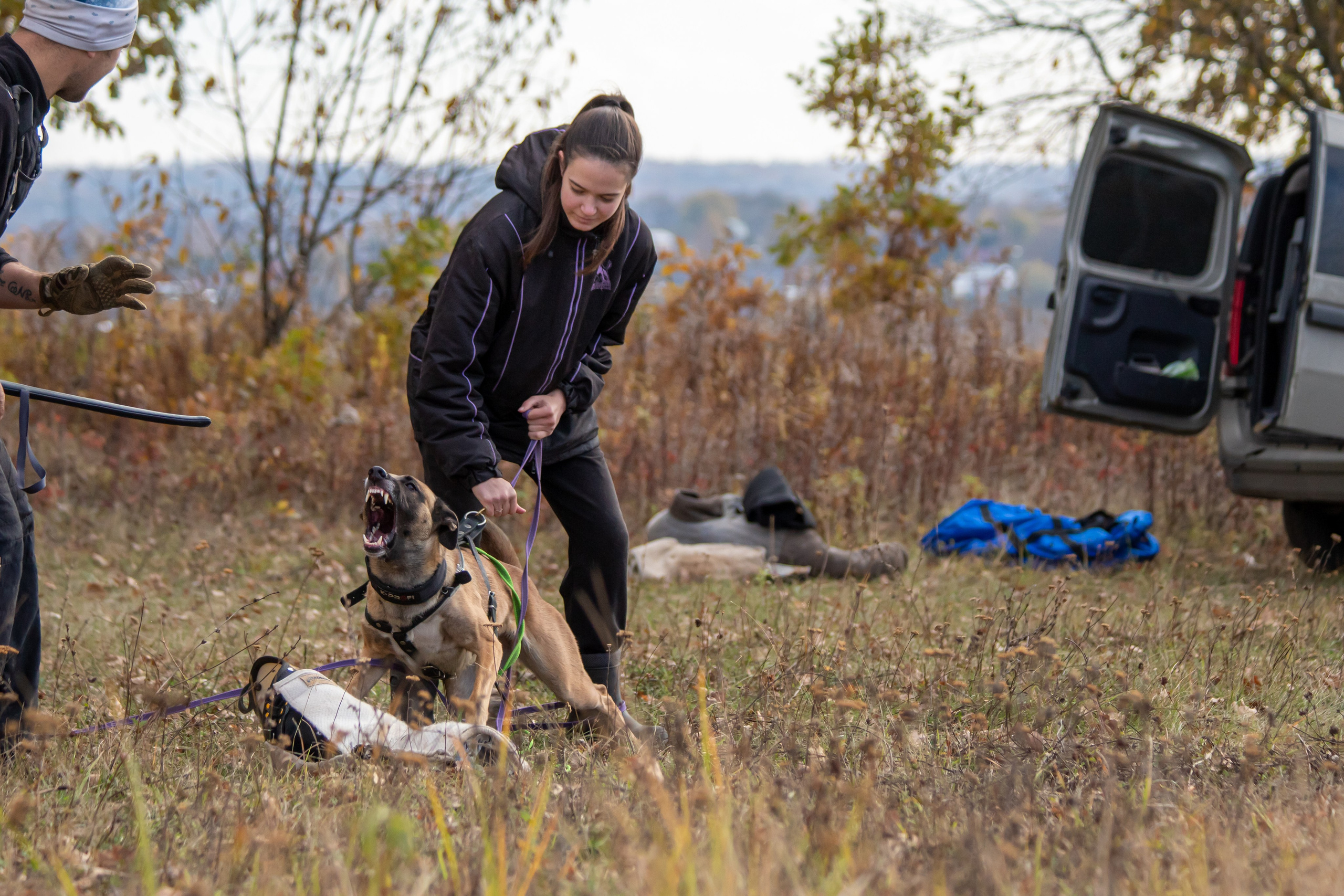 Тренинг защитного раздела. Фотограф анималист — Тула, Москва