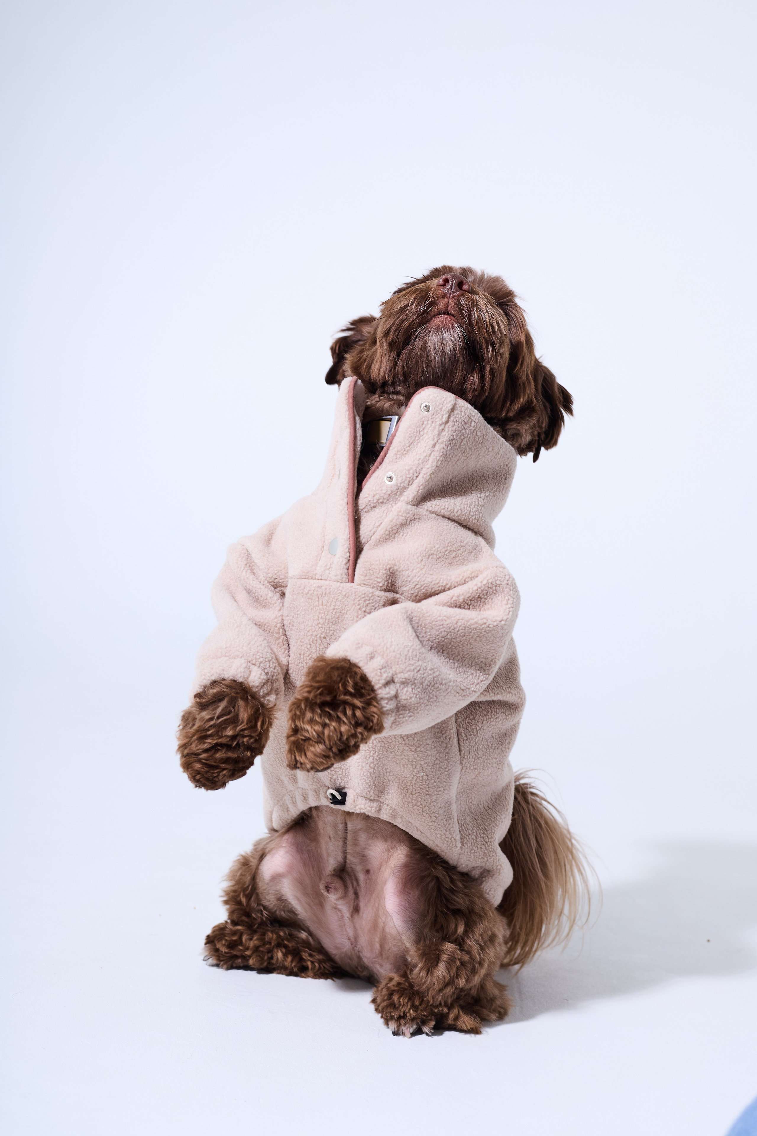 Big Lap Club. Фотограф|Москва-СПб| Анастасия Рябинина