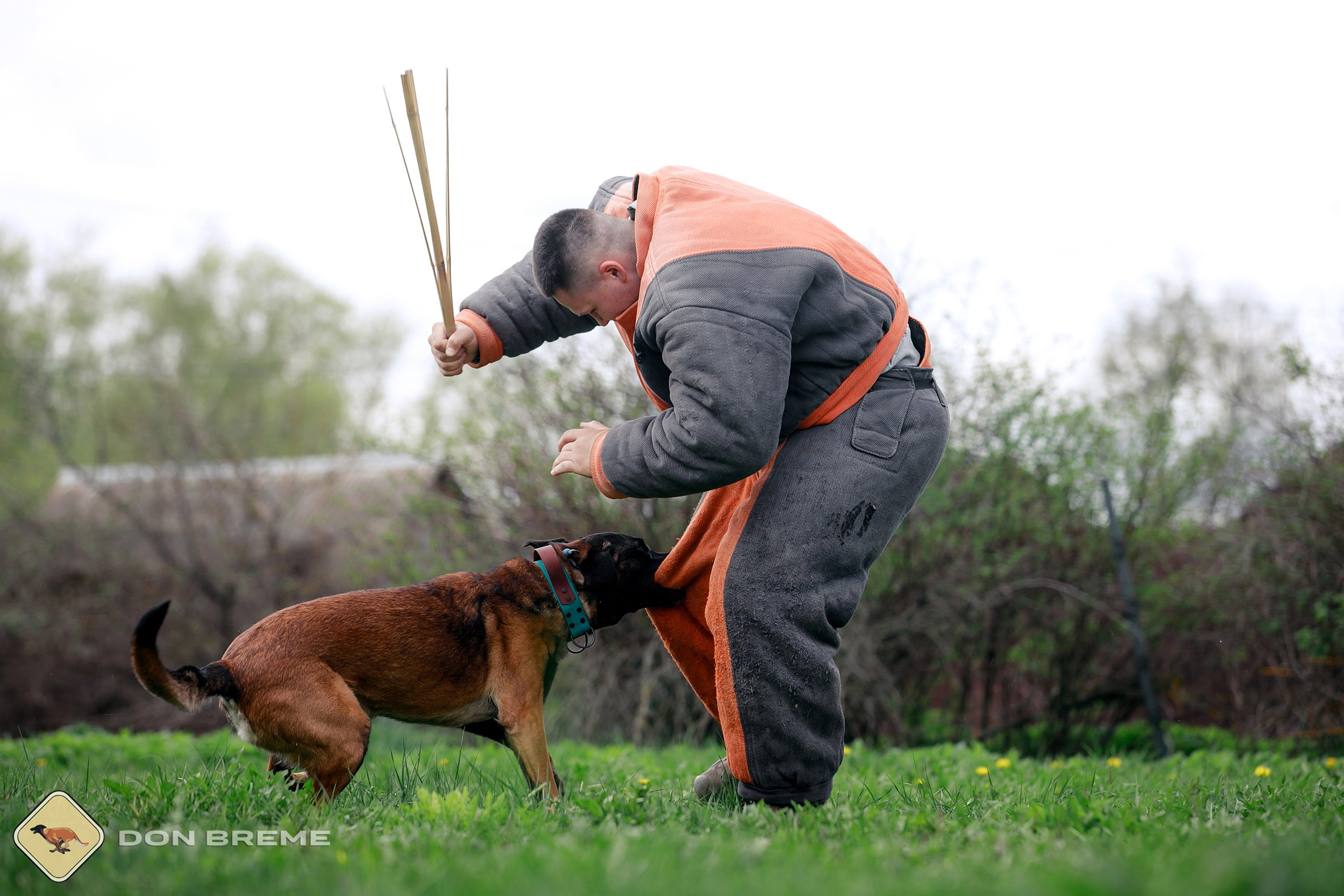Семинар для фигурантов, день 2. Фотограф-анималист Mary Mart — Москва, Питер