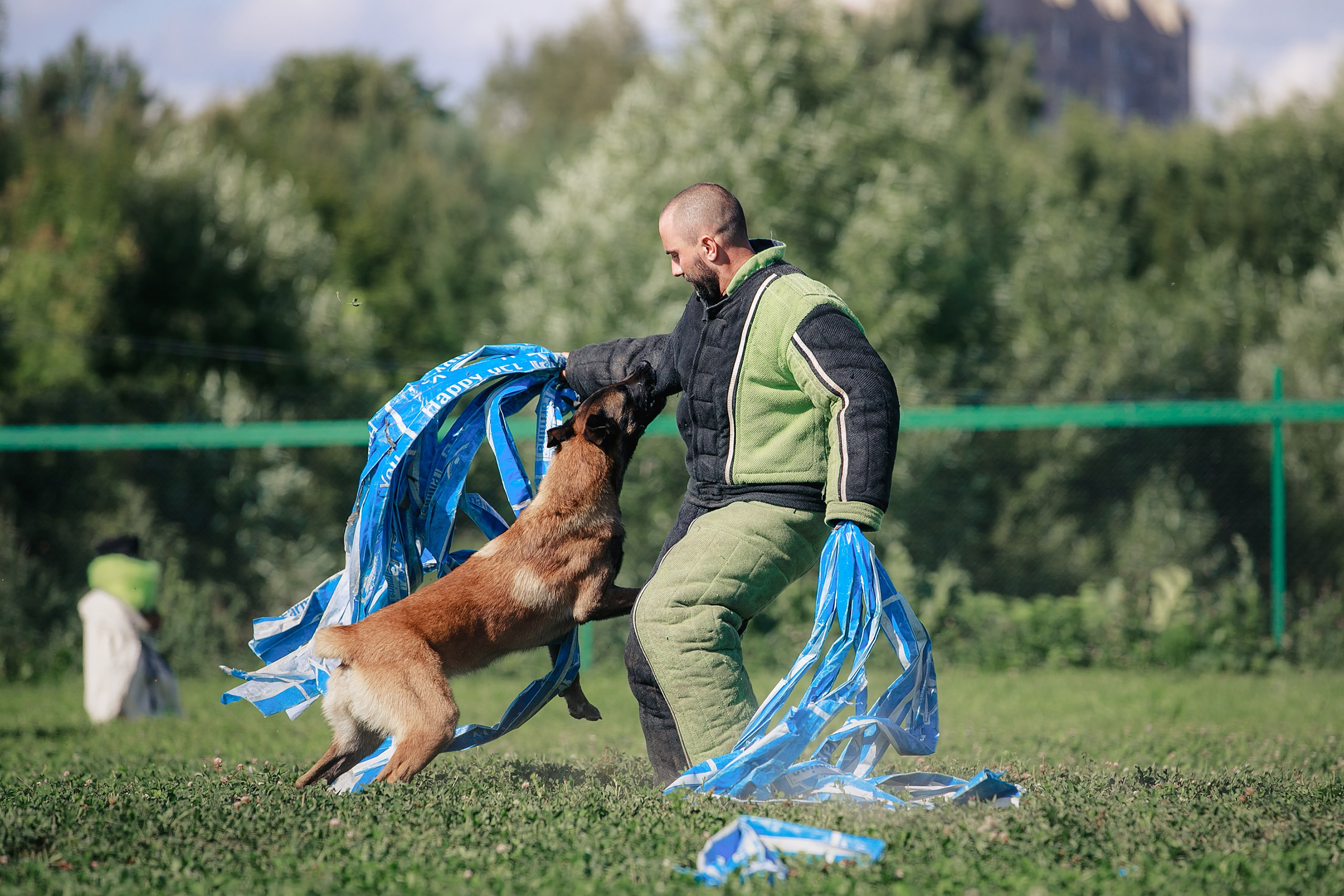 Мондьоринг М1, М2, М3, Вологда. Фотограф-анималист Mary Mart — Москва, Питер