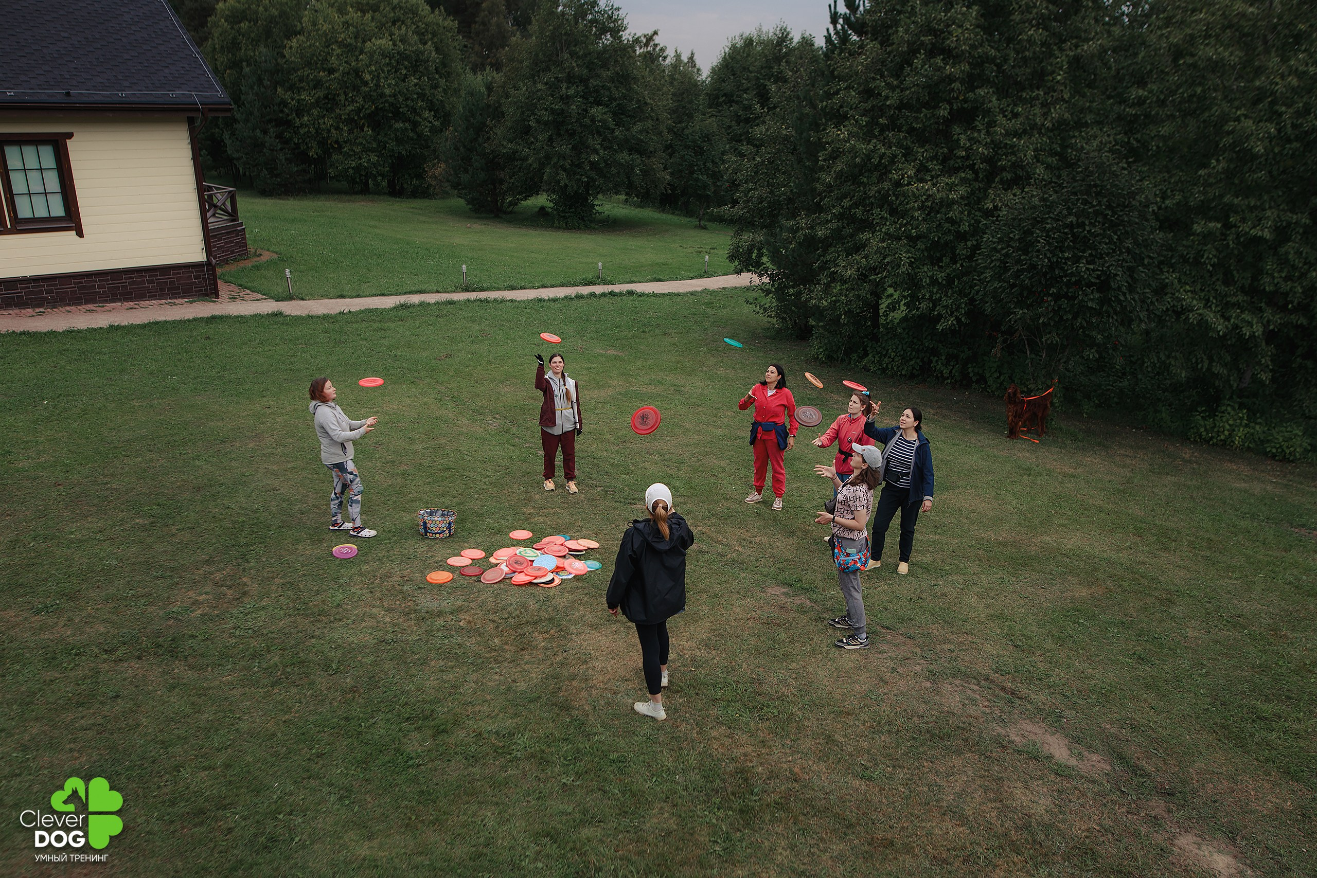 Кинологический лагерь CleverDog, 2024. Фотограф-анималист Mary Mart — Москва, Питер