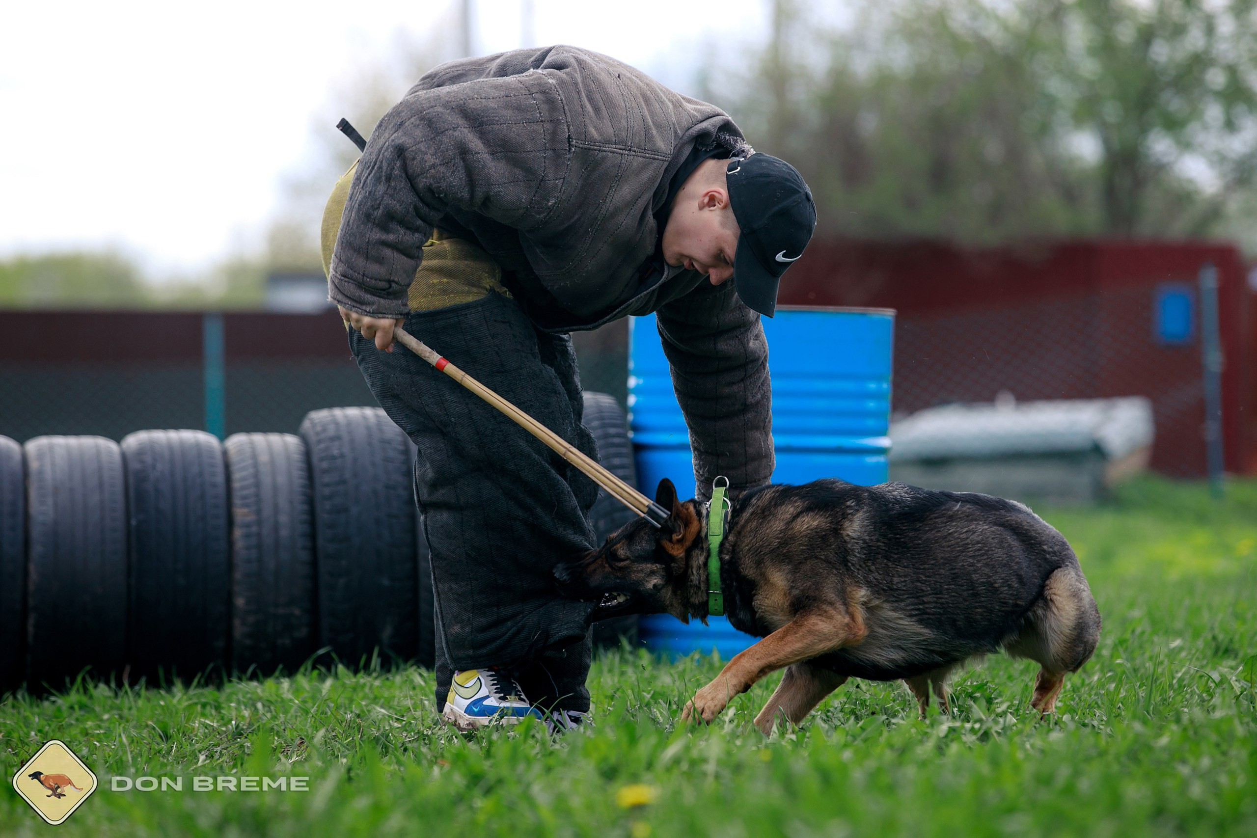 Семинар для фигурантов, день 2. Фотограф-анималист Mary Mart — Москва, Питер