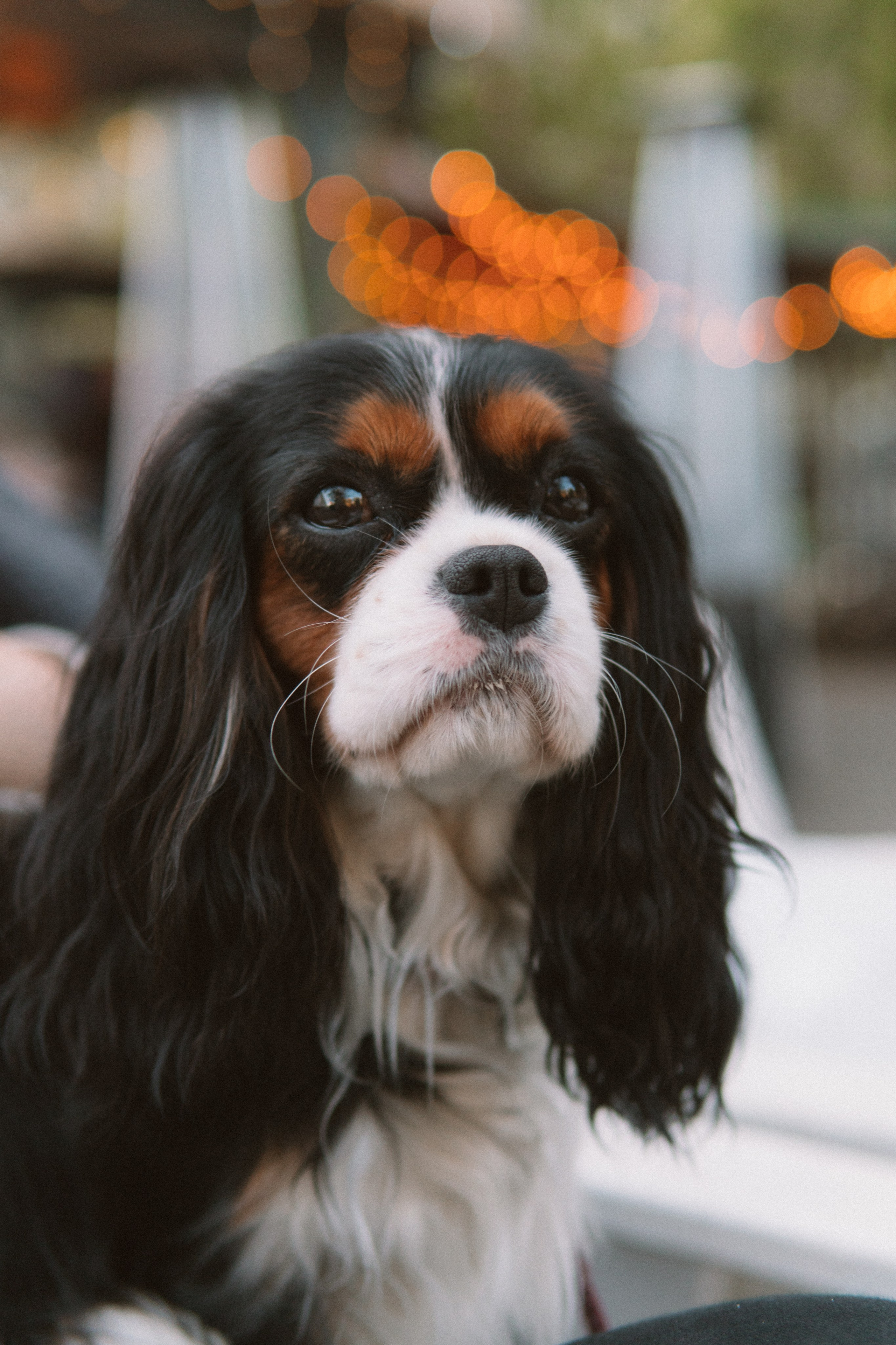 Катя и Беки: история о кофе в парке. Портретный и репортажный фотограф в Воронеже: Анастасия Пузикова