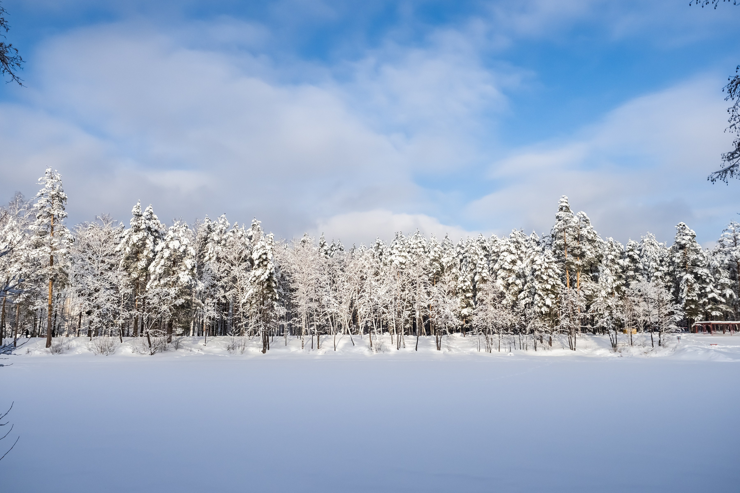 Красота Заречного. Репортажный, семейный и детский фотограф в Пензе и Заречном Арина Ермилова. Картины барельеф на заказ