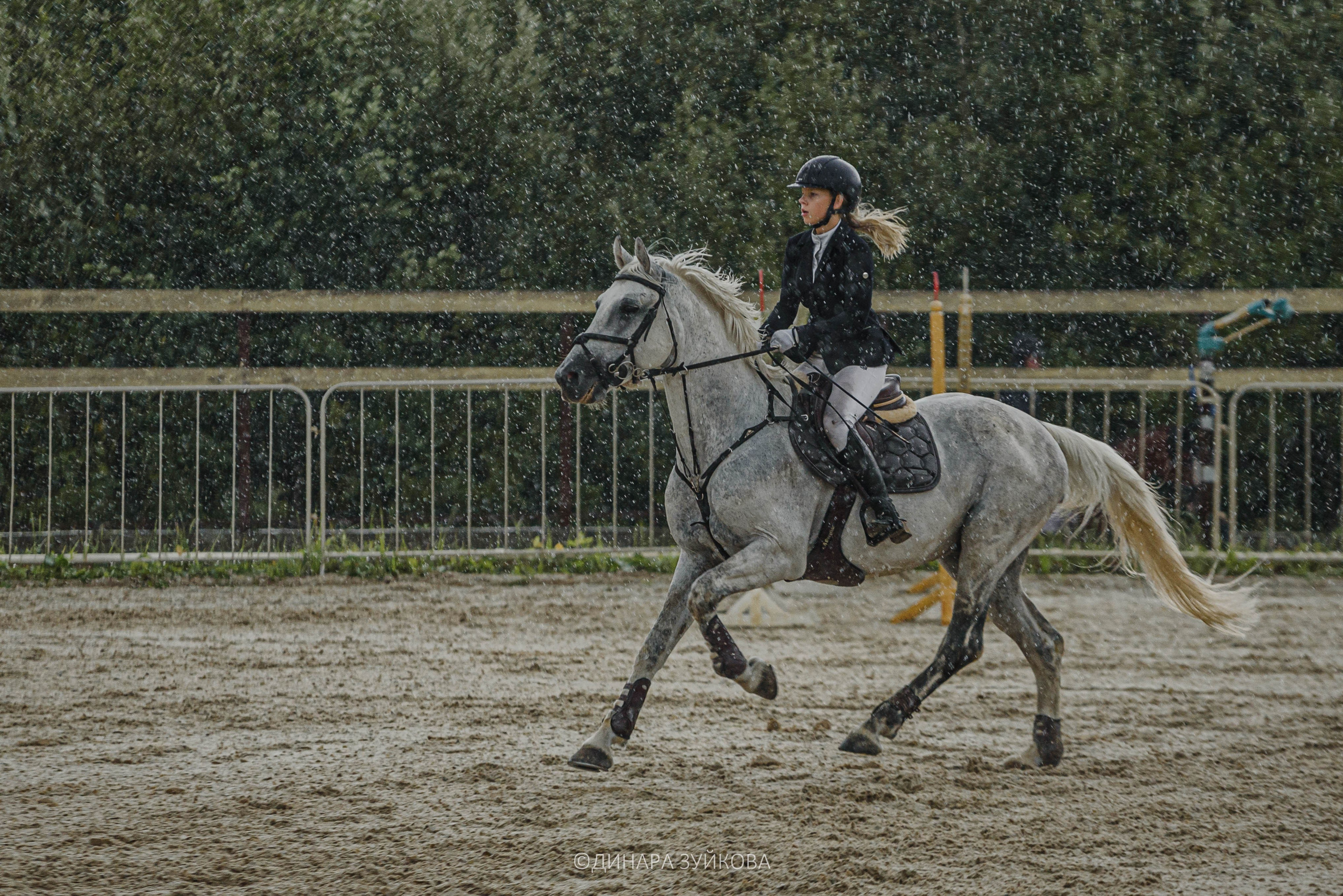 Конный фотограф 