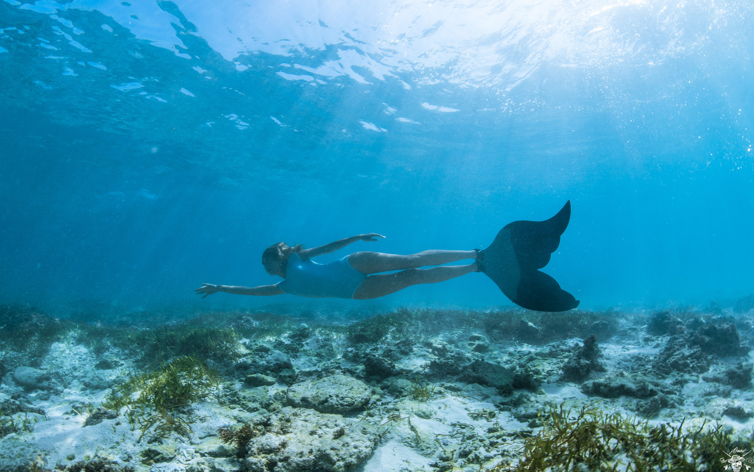Underwater Photos. Лайфстайл Фотограф и Профессиональный Водный Фотограф в Москве