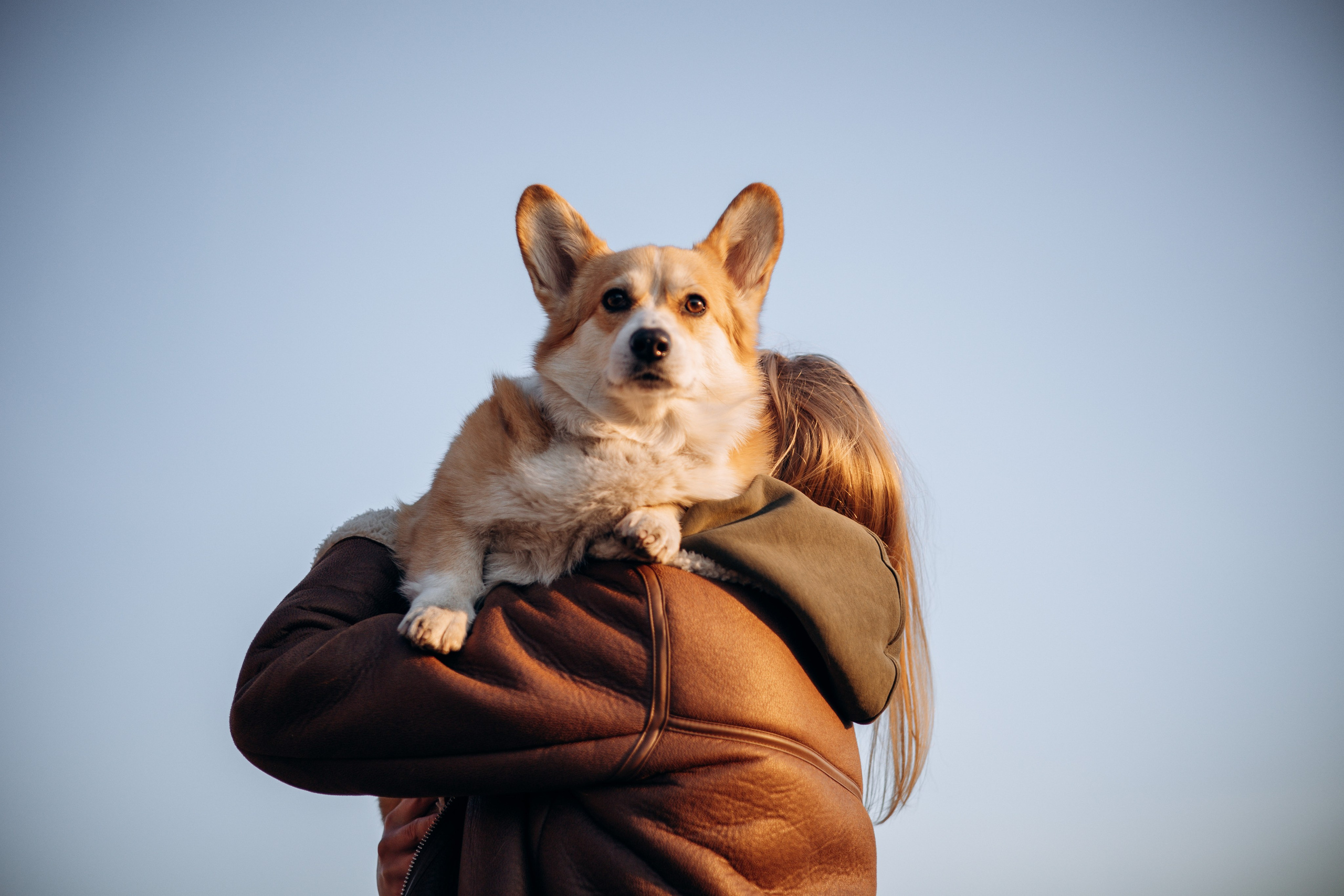 Настя и Ева. Фотограф — Анималист | Санкт-Петербург