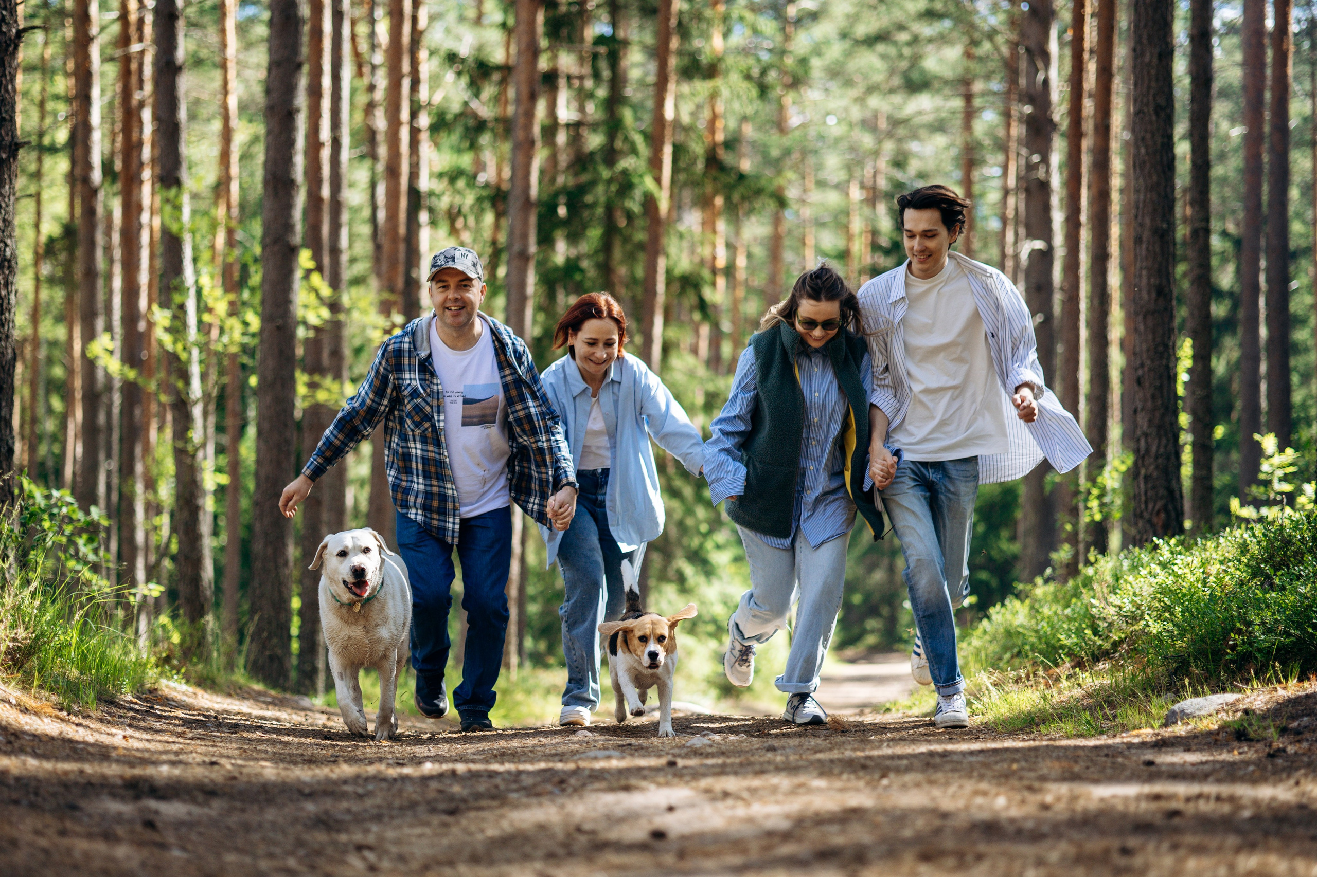Котофеи и их семья. Фотограф — Анималист | Санкт-Петербург