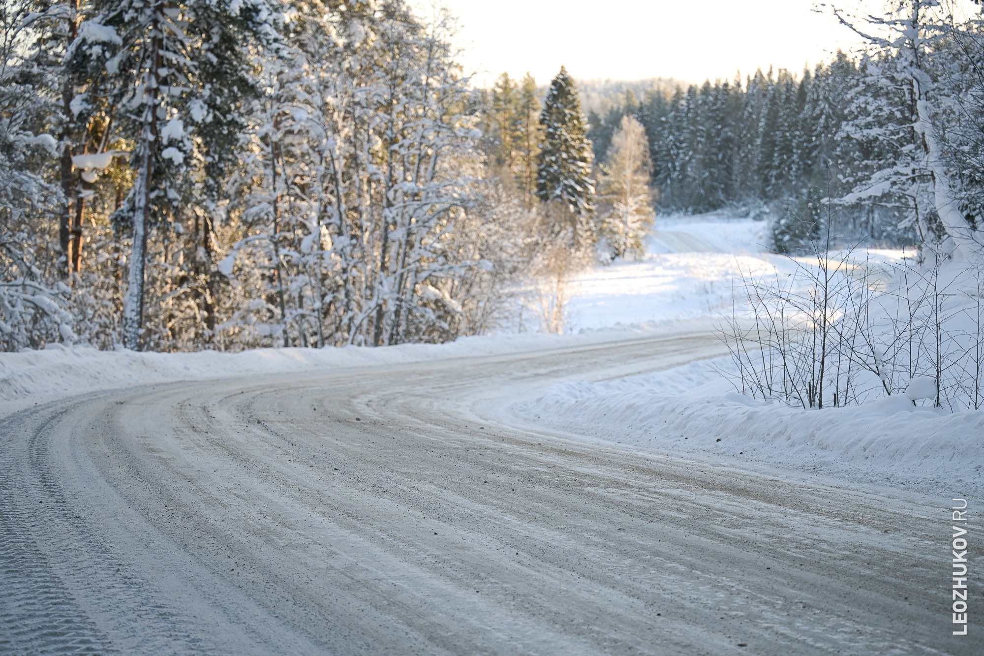 Ралли Лахденпохья 2026. Спортивный фотограф Леонид Жуков