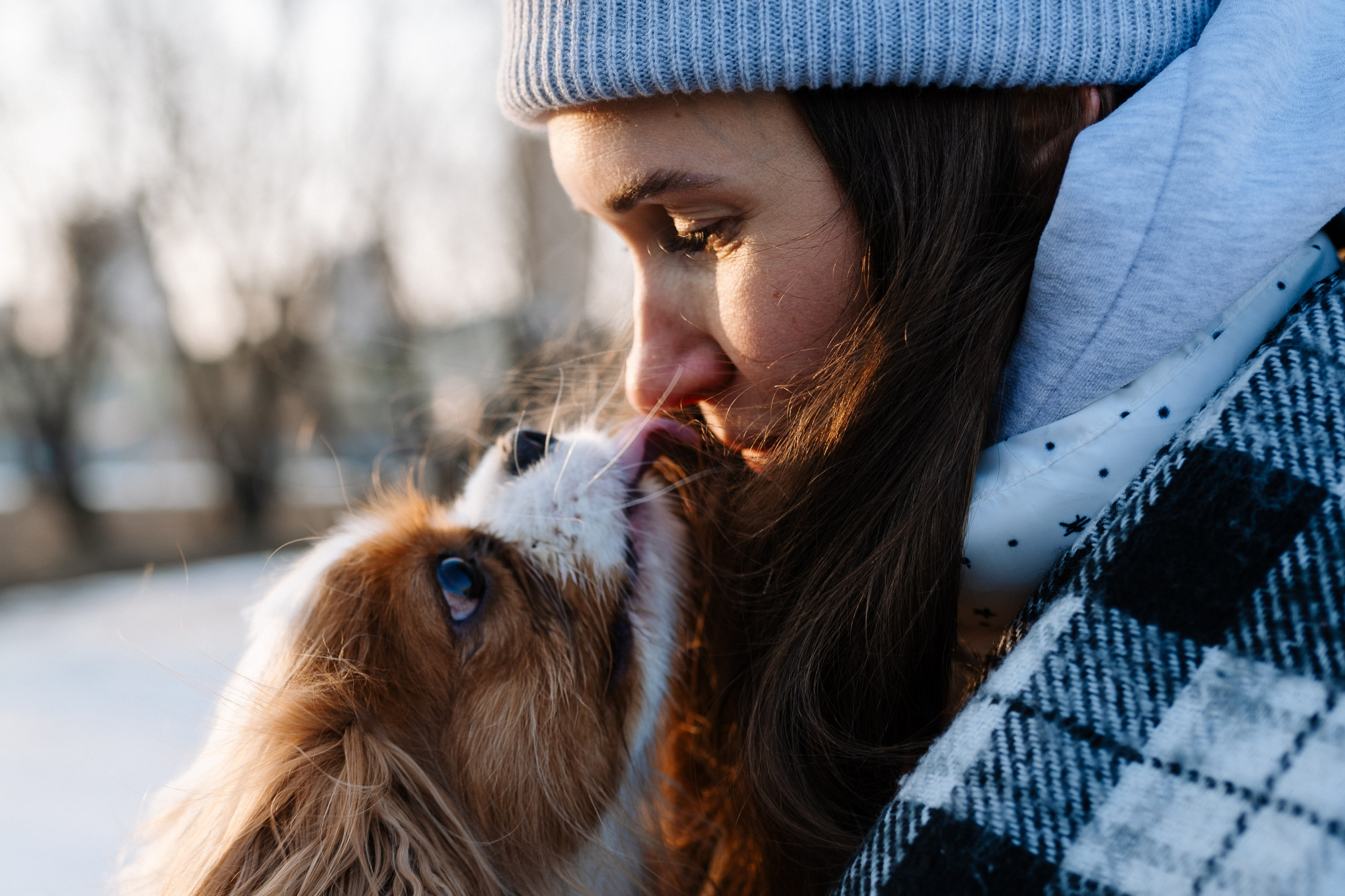 Лена и Арчи. Фотограф анималист в Москве Ольга Агушева