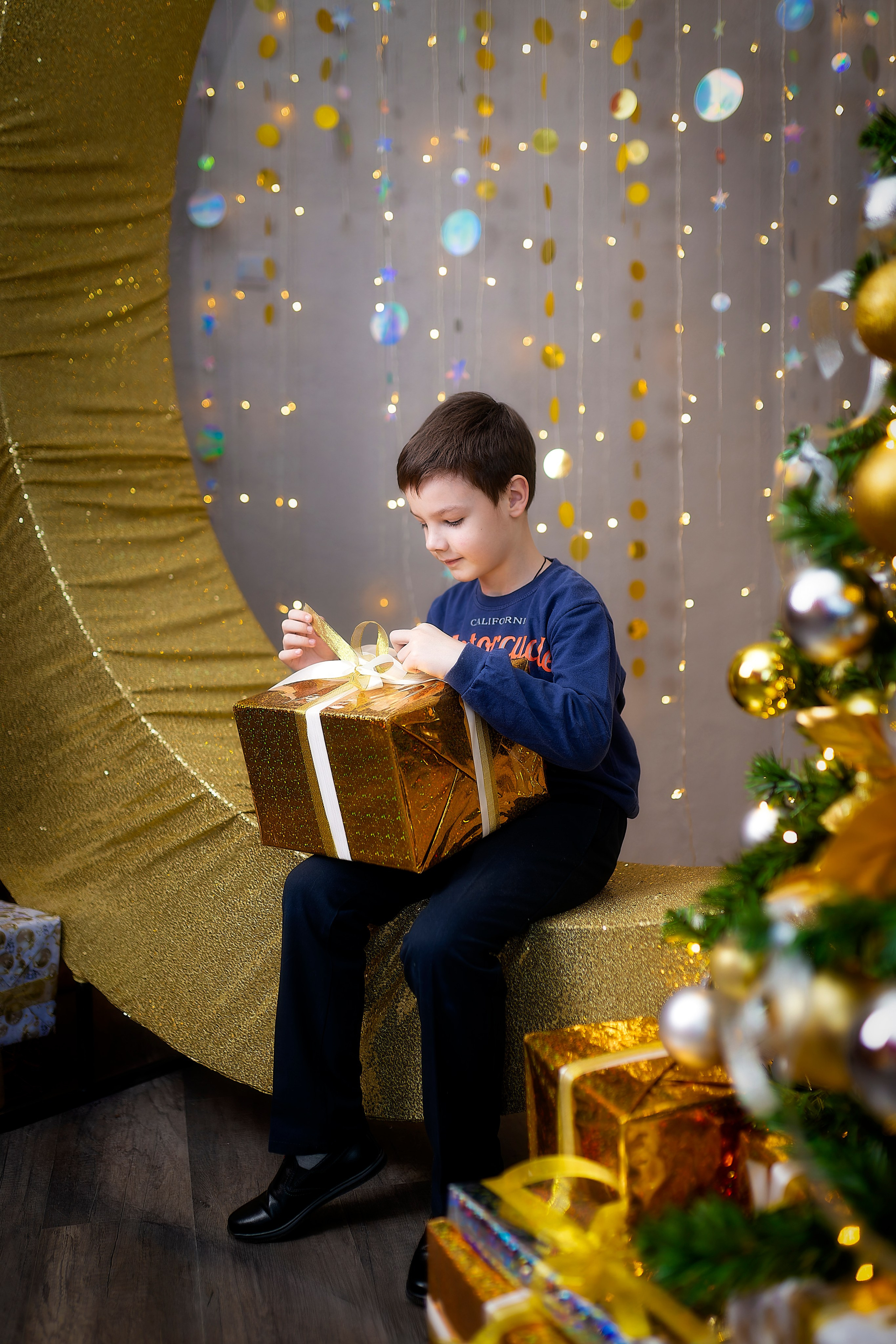 В фотостудии.Новогодняя24.Постновы. Лев Постнов.Фотограф. Нижний Новгород