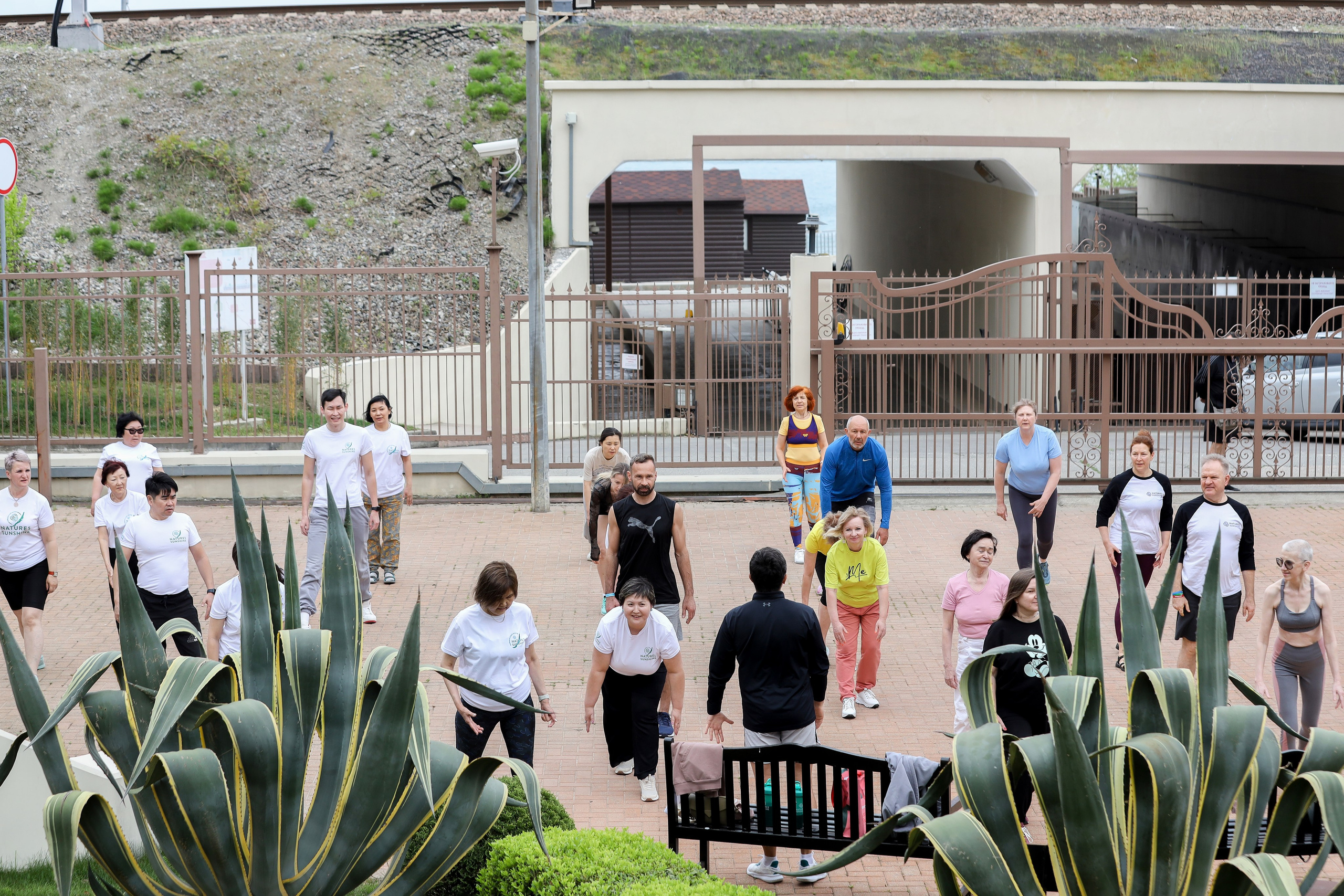 NSP Конференция в Сочи. Фотограф Антон Чупринин