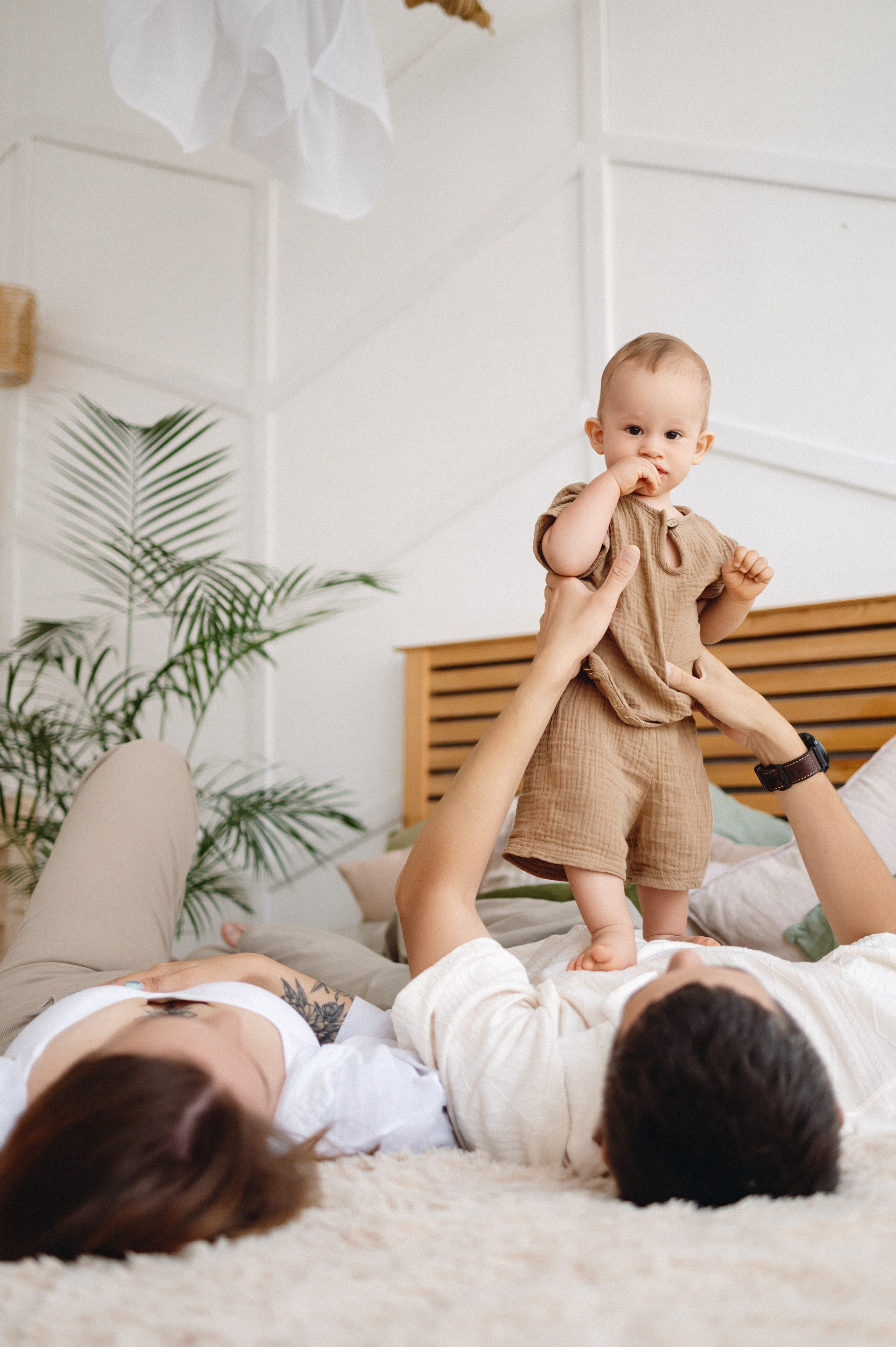 Анжелика Вадим Герман. Главная