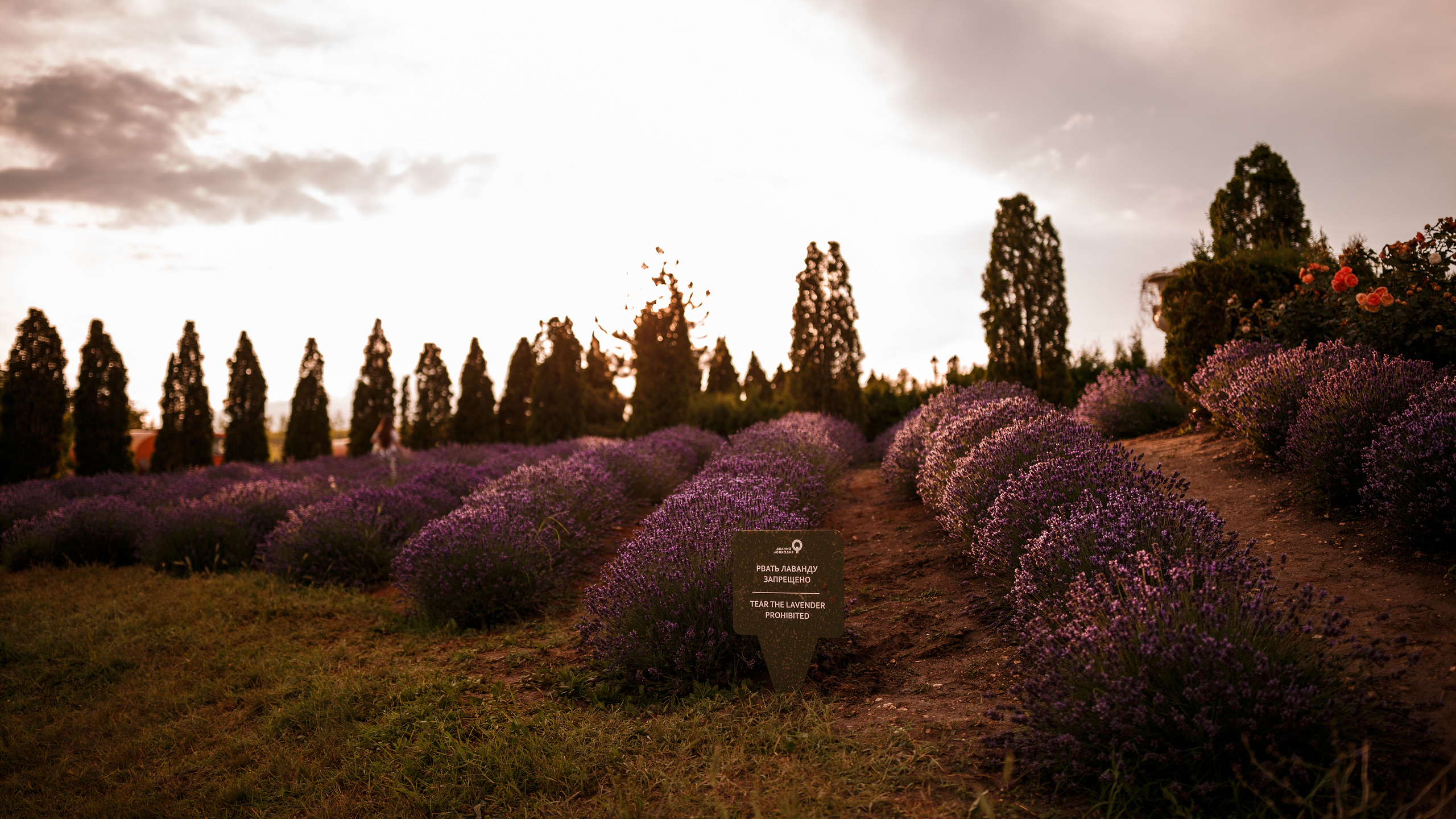 Закаты и Рассветы. Сергей Ветер, фотограф в Краснодаре