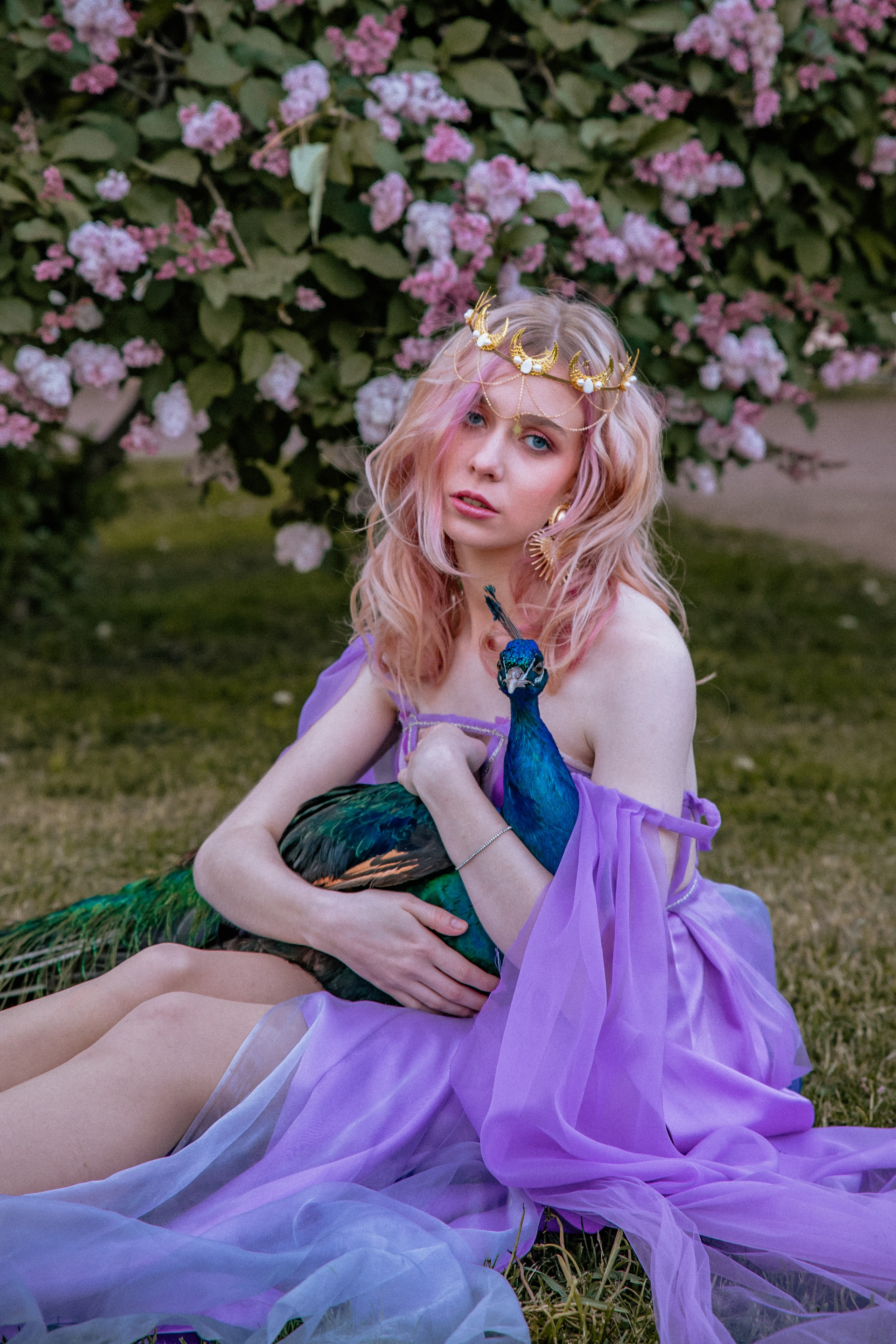 Павлин. Elena Sova — семейный и женский фотограф в Санкт-Петербурге