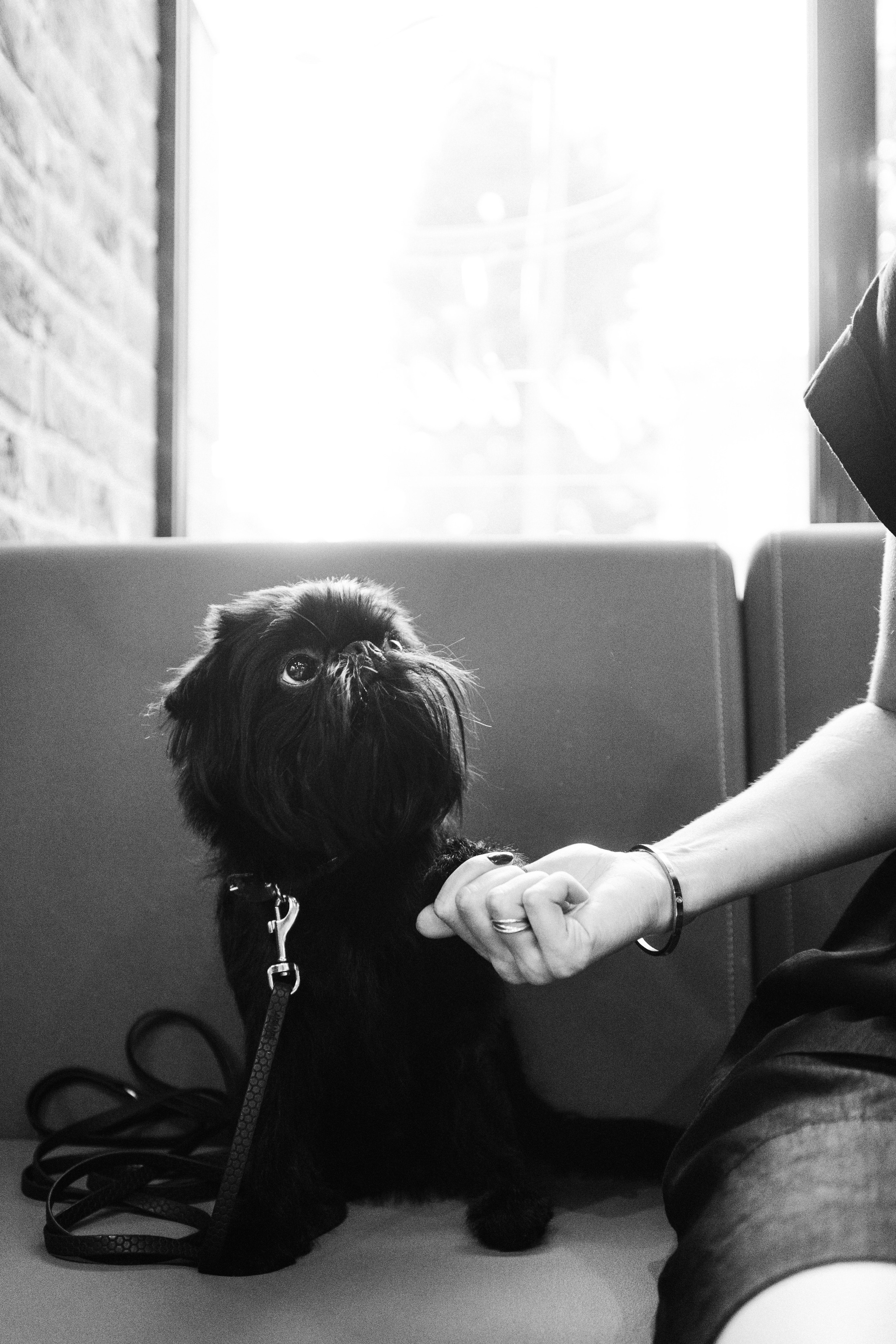 Ася и Кузя. Фотограф анималист Осипчикова Мария