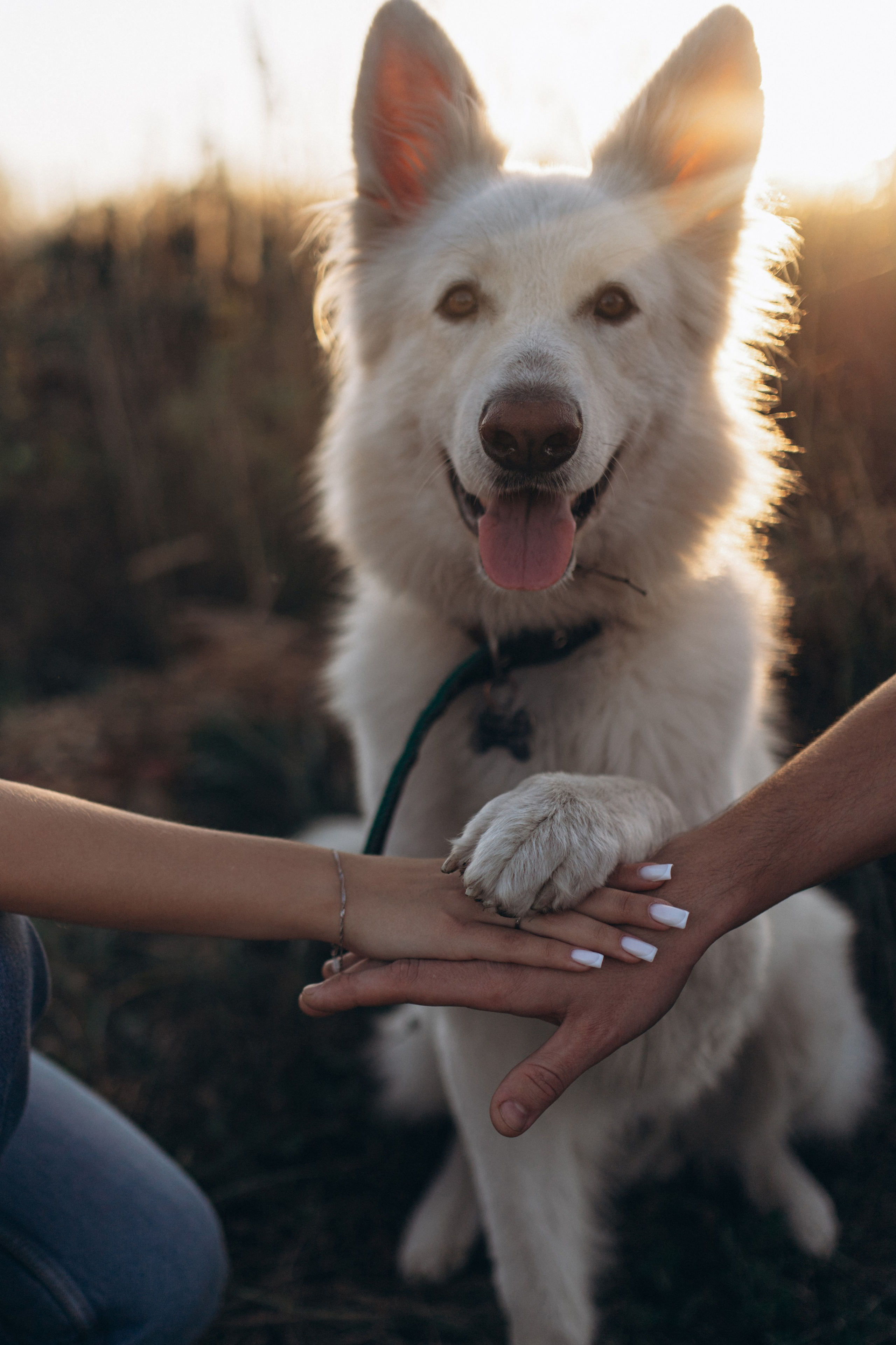 Мы вместе. Главная