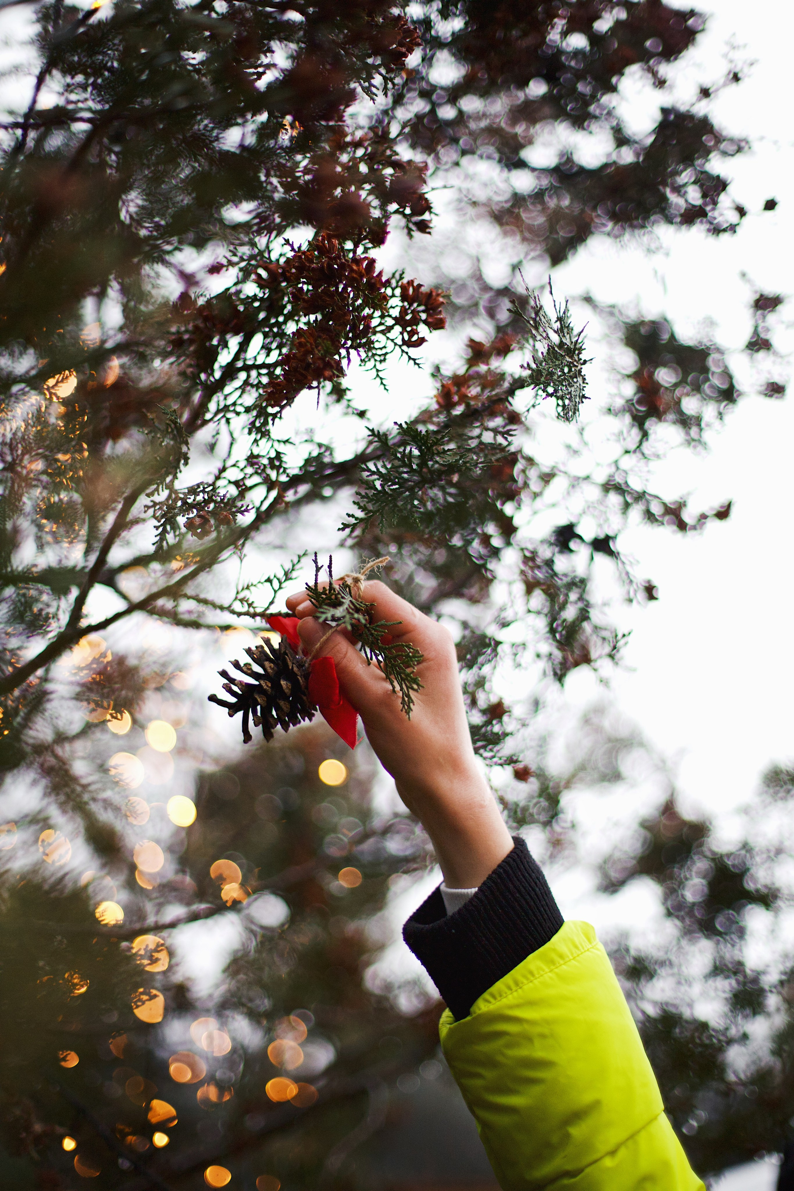 Christmas Tree opening in Dilijan city park. Фотограф в Армении Женя Гилевич