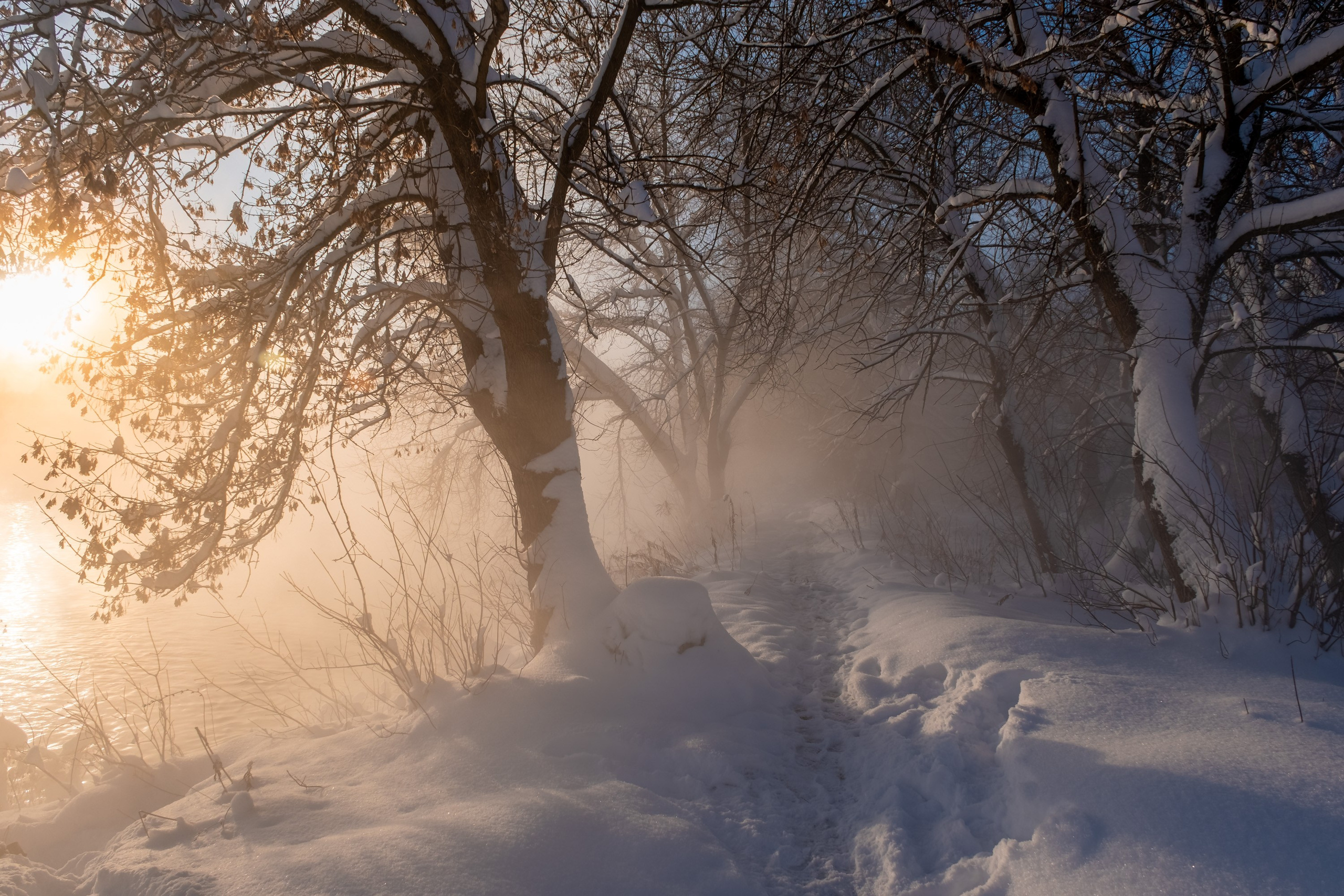 Озеро Горячка. Фотограф и видеооператор в Туле | Даниил Рыбак