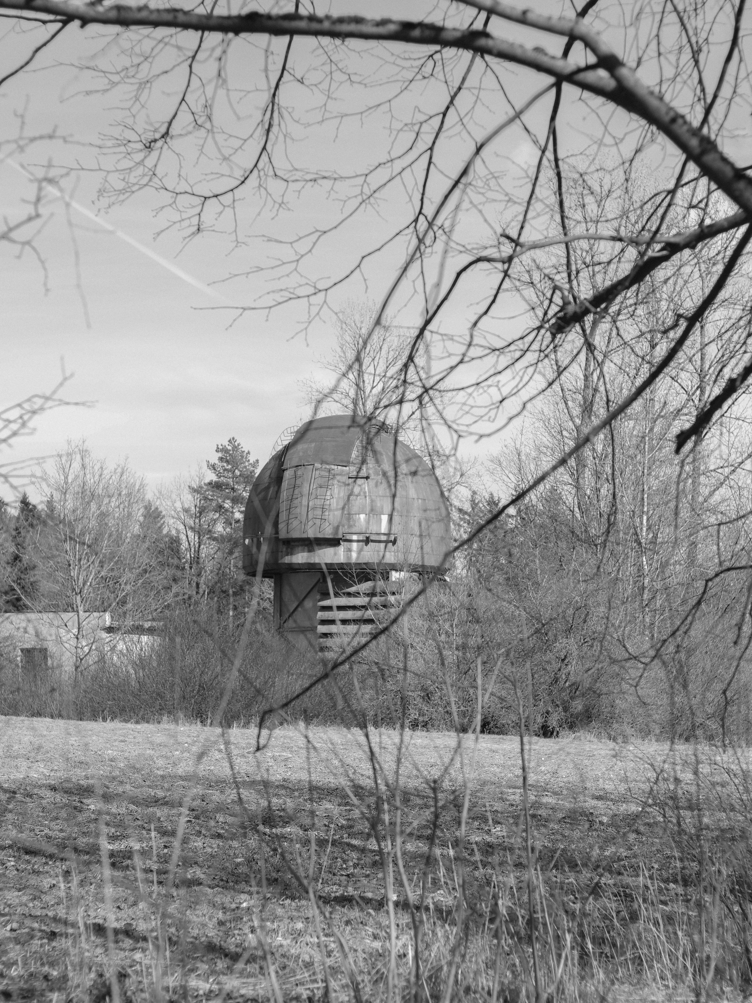 Garden against time. Фотограф и исследователь фотографии из Санкт-Петербурга Елизавета Веприцкая