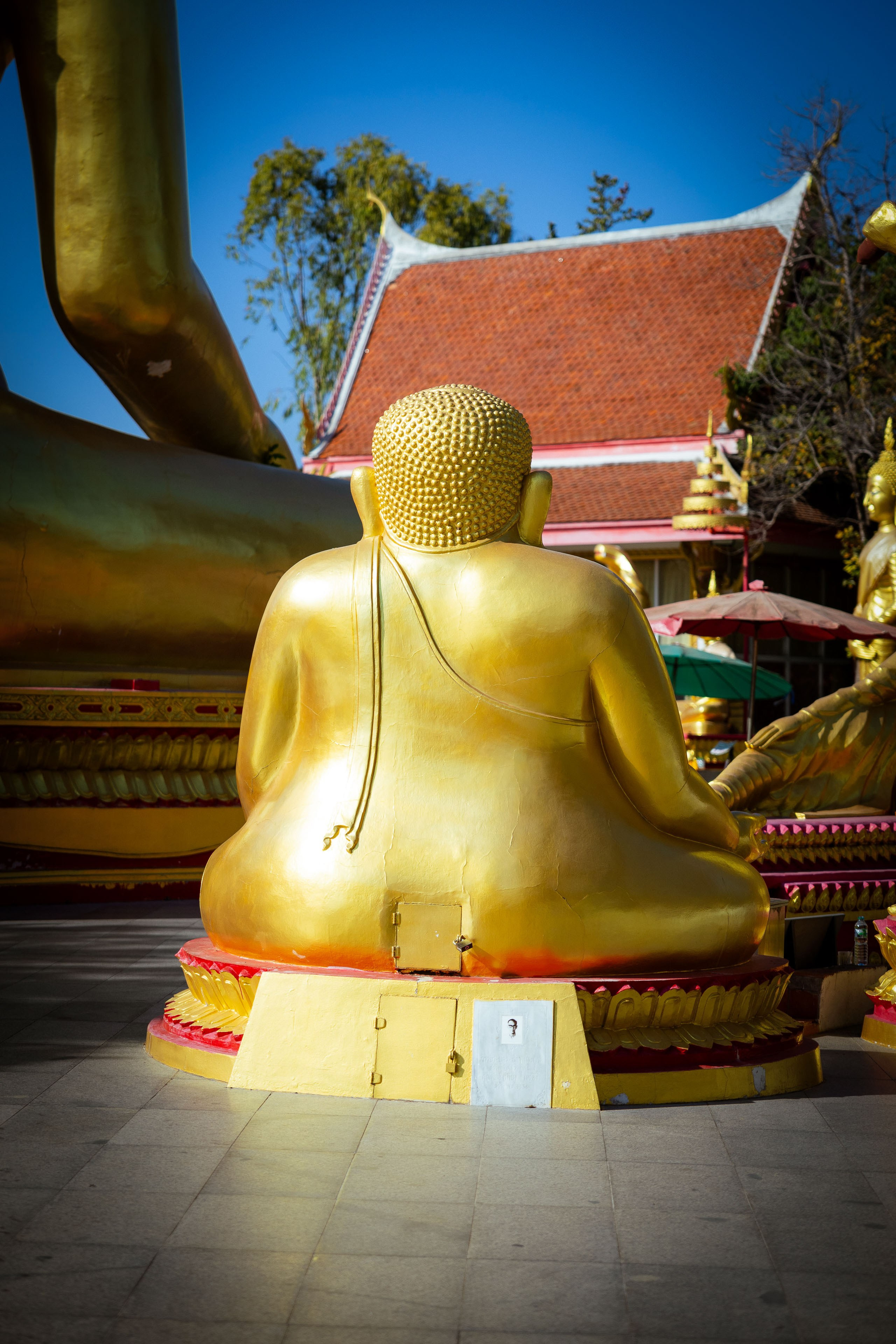 Таиланд (зима 2025). Фотограф Виноградов Константин