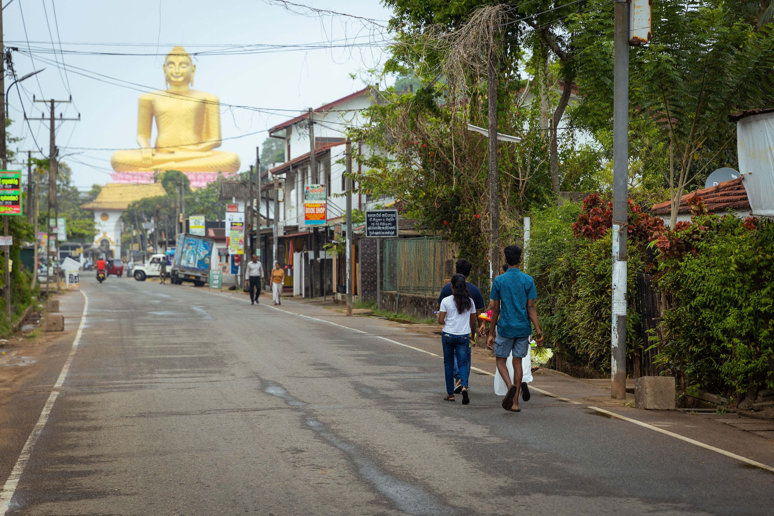 Шри-Ланка (весна 2024). Фотограф Виноградов Константин
