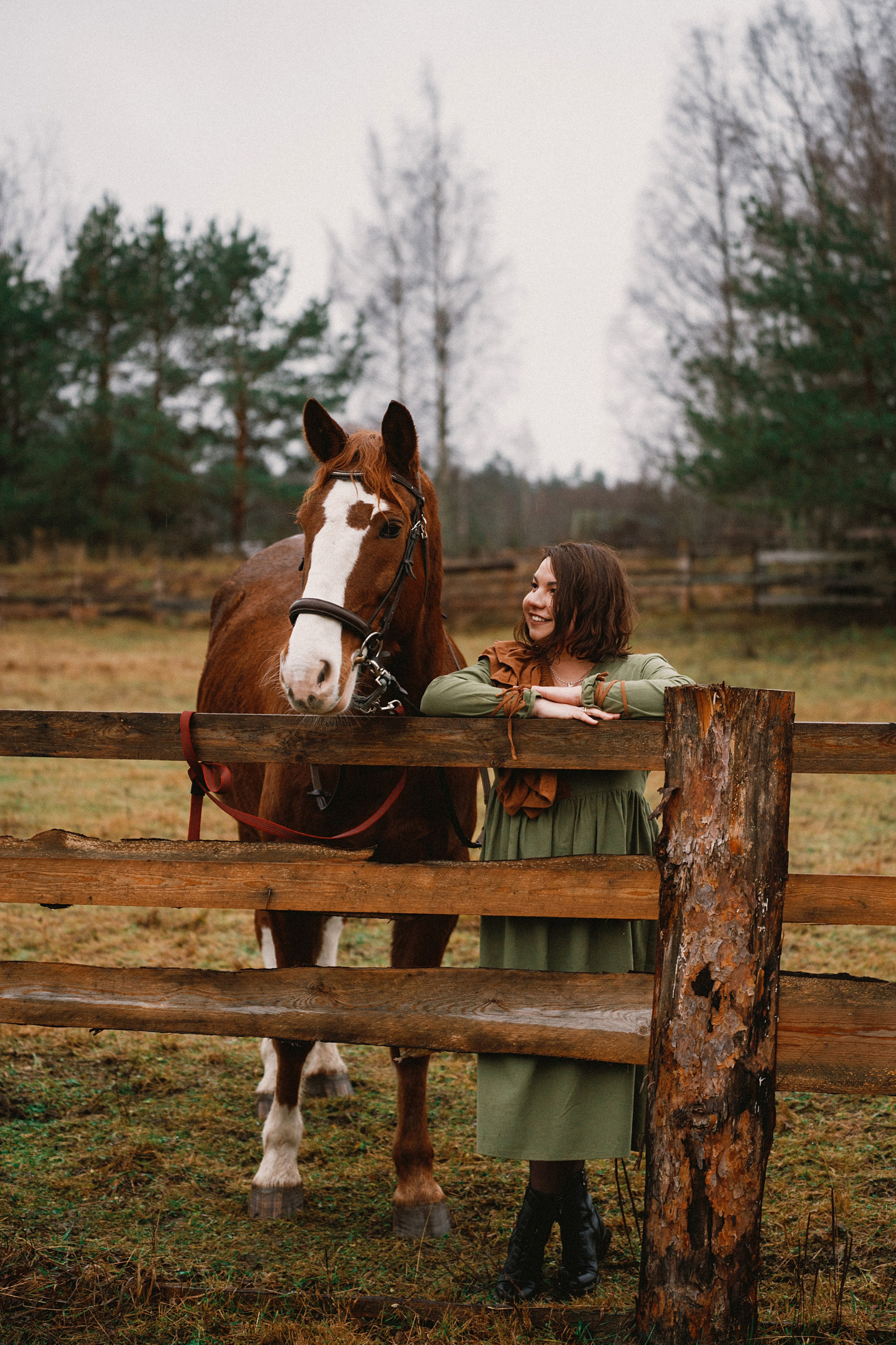Конные. Главная