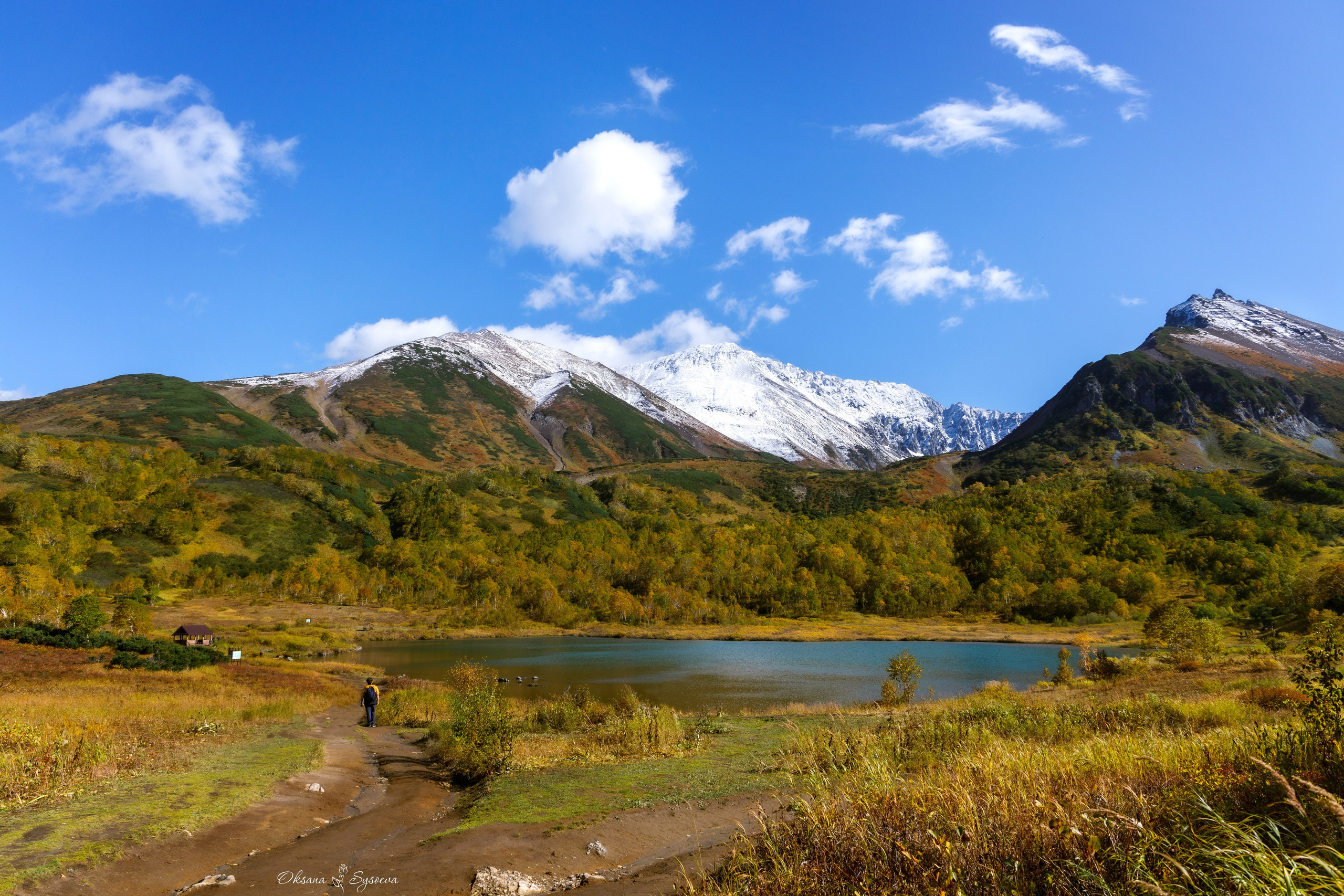 Массив Вачкажец, камчатка