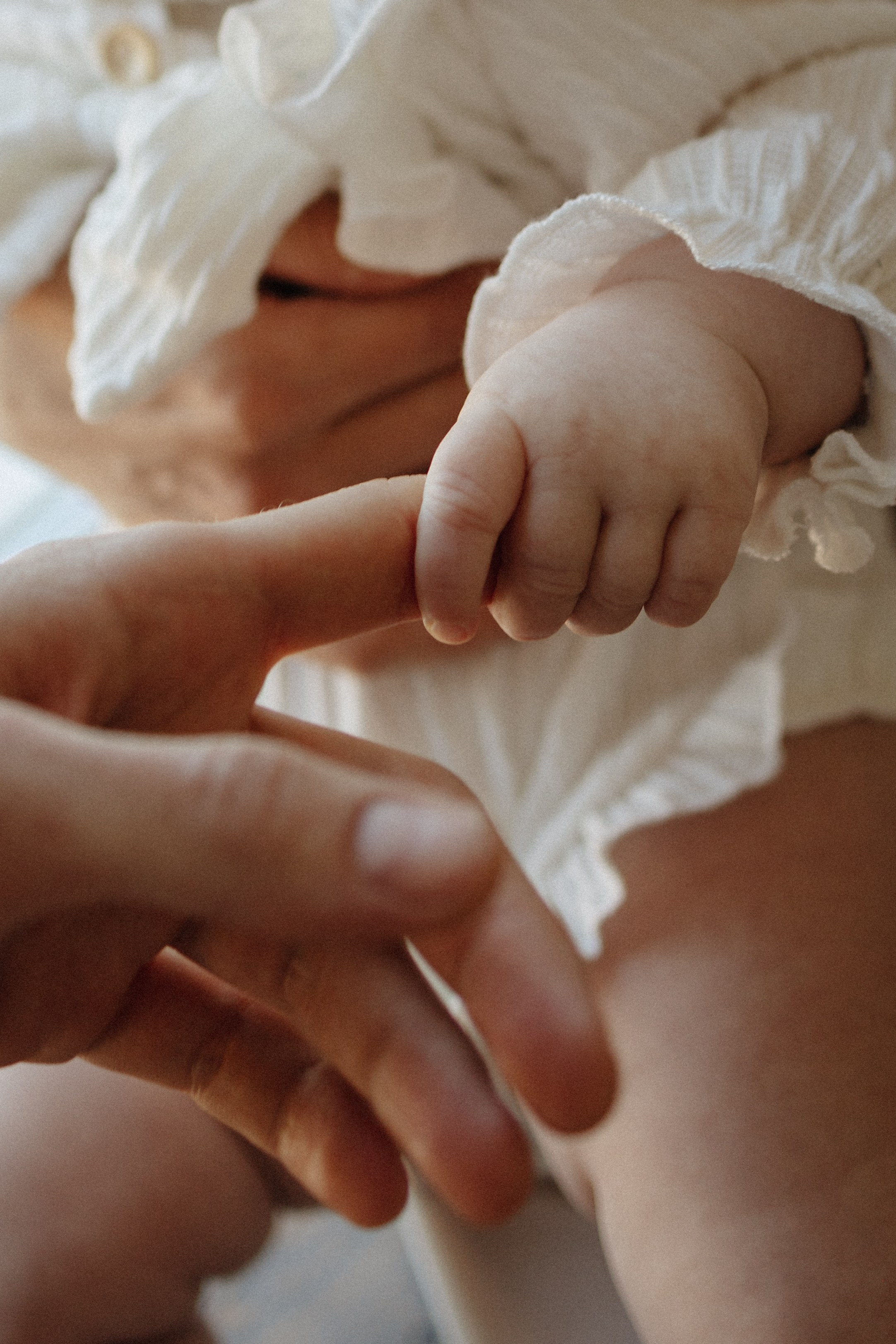 СЕМЬЯ студийная. СЕМЕЙНЫЙ фотограф Краснодар Анастасия Михайлова