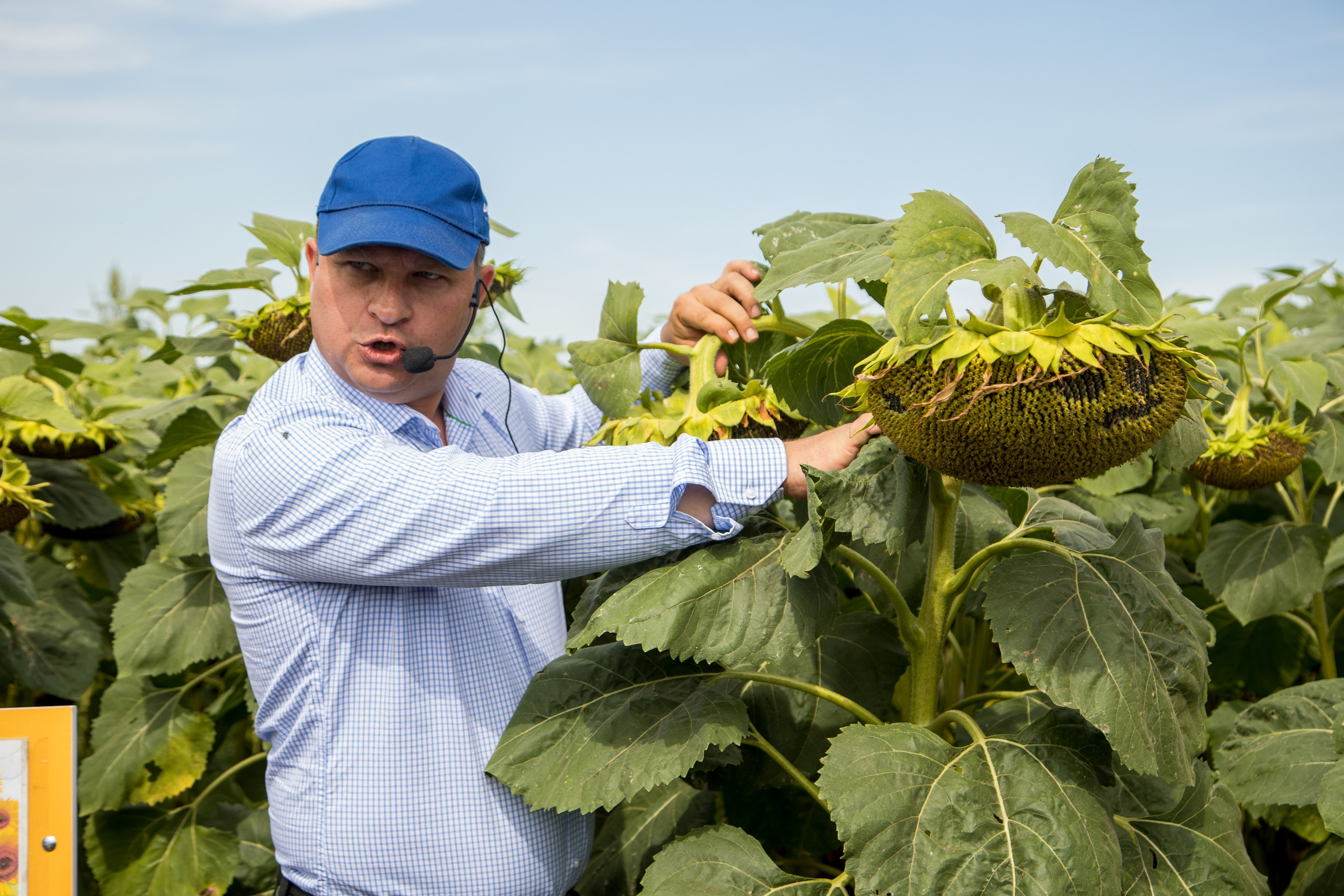 Решения для сельского хозяйства BASF 16.08.2022. Владислав Волков | Фотография и видеосъемка в Воронеже