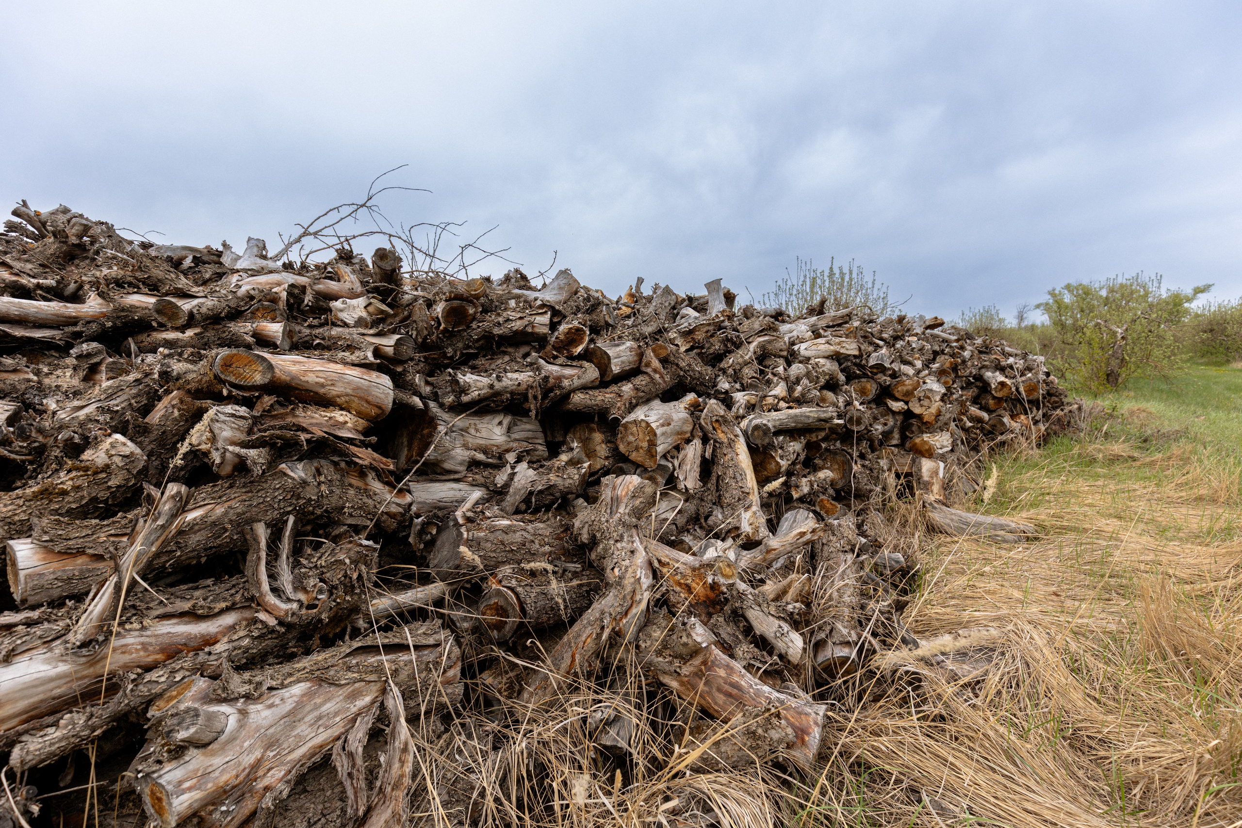 Приусадебный участок. Владислав Волков | Фотография и видеосъемка в Воронеже