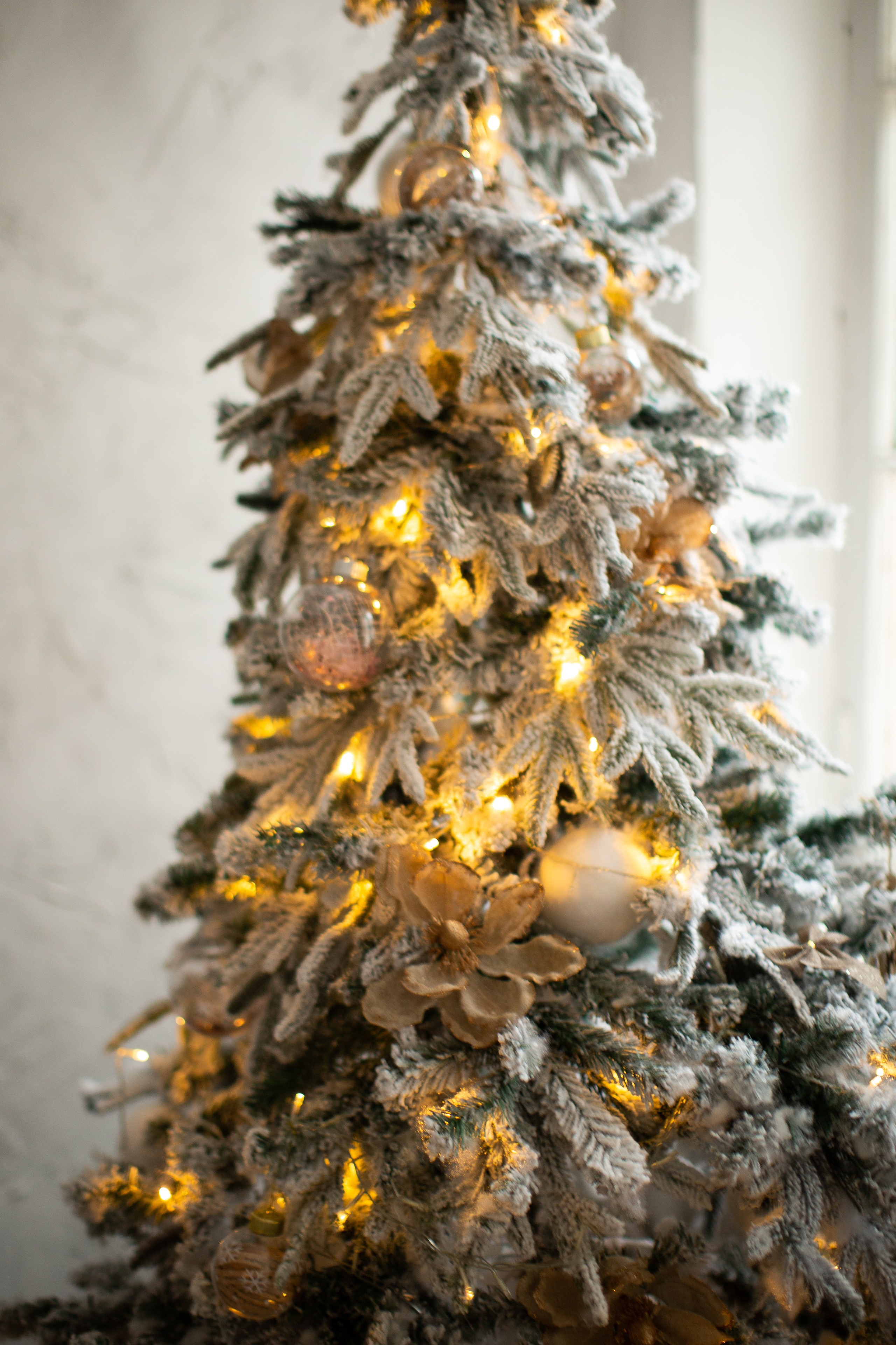 Нг24. Фотограф НатаФото (Наталья Яковенко) Дмитров Москва Питер