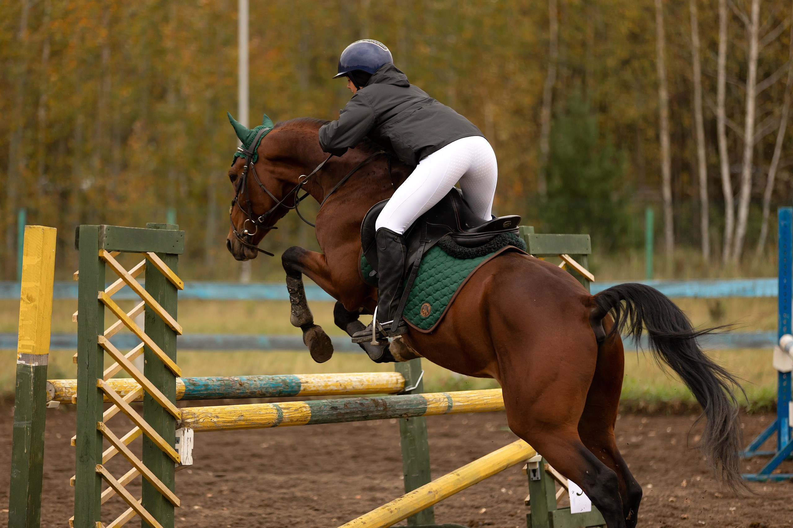 Соревнования по конному спорту. Конный фотограф Валынкина Лера