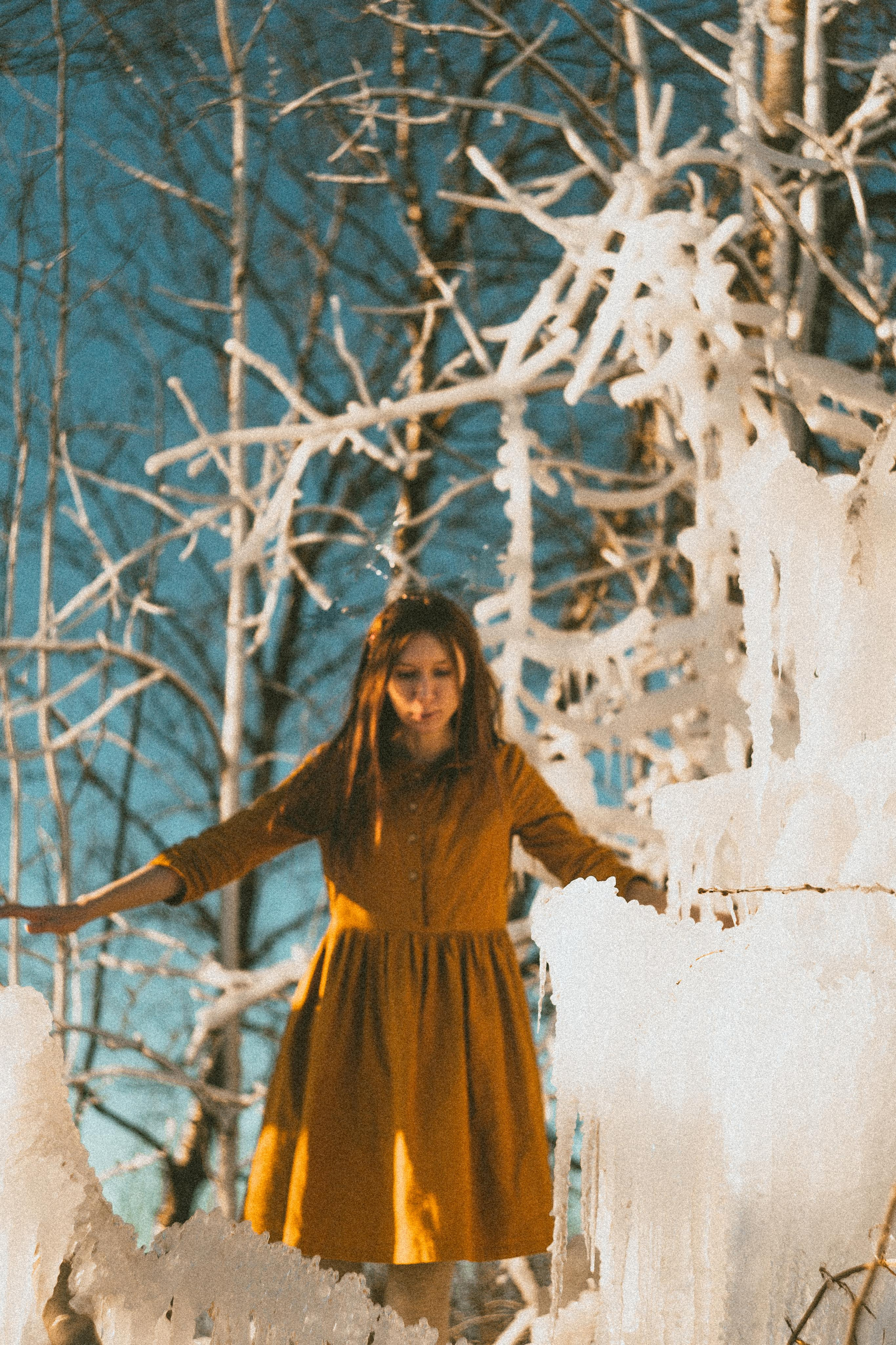 Зимнего солнца сны. Алиса Аницкая