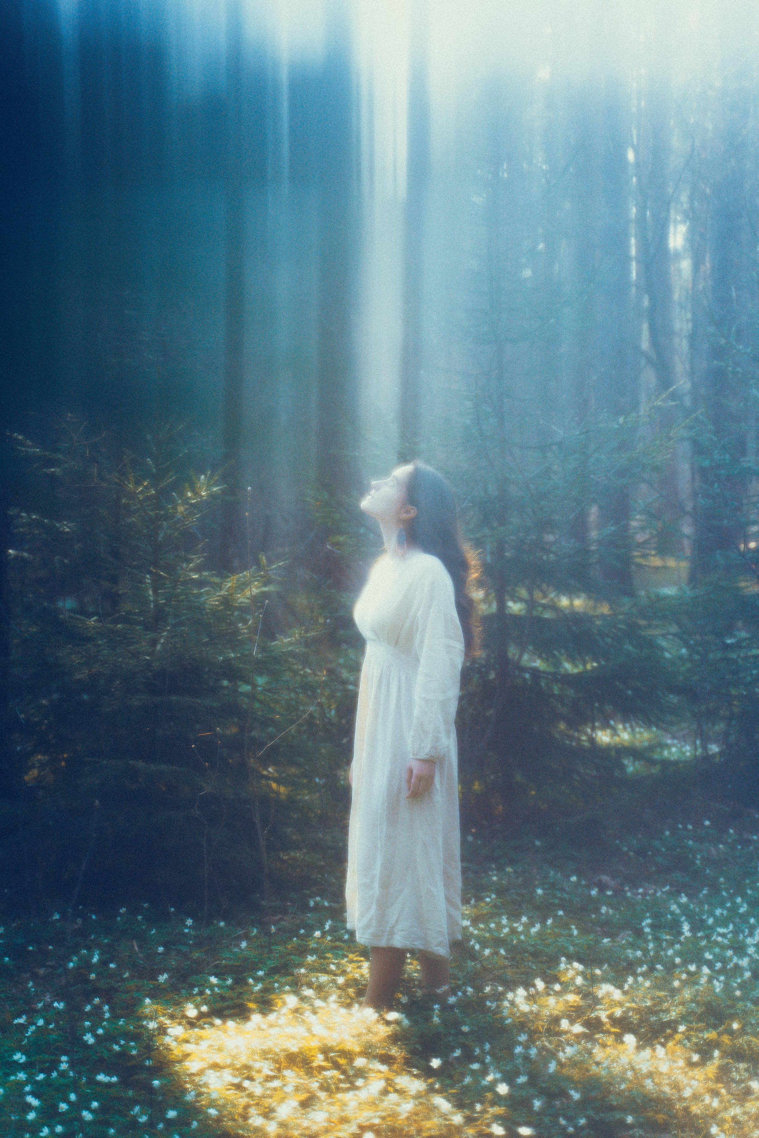 Алмазное небо. Алиса Аницкая