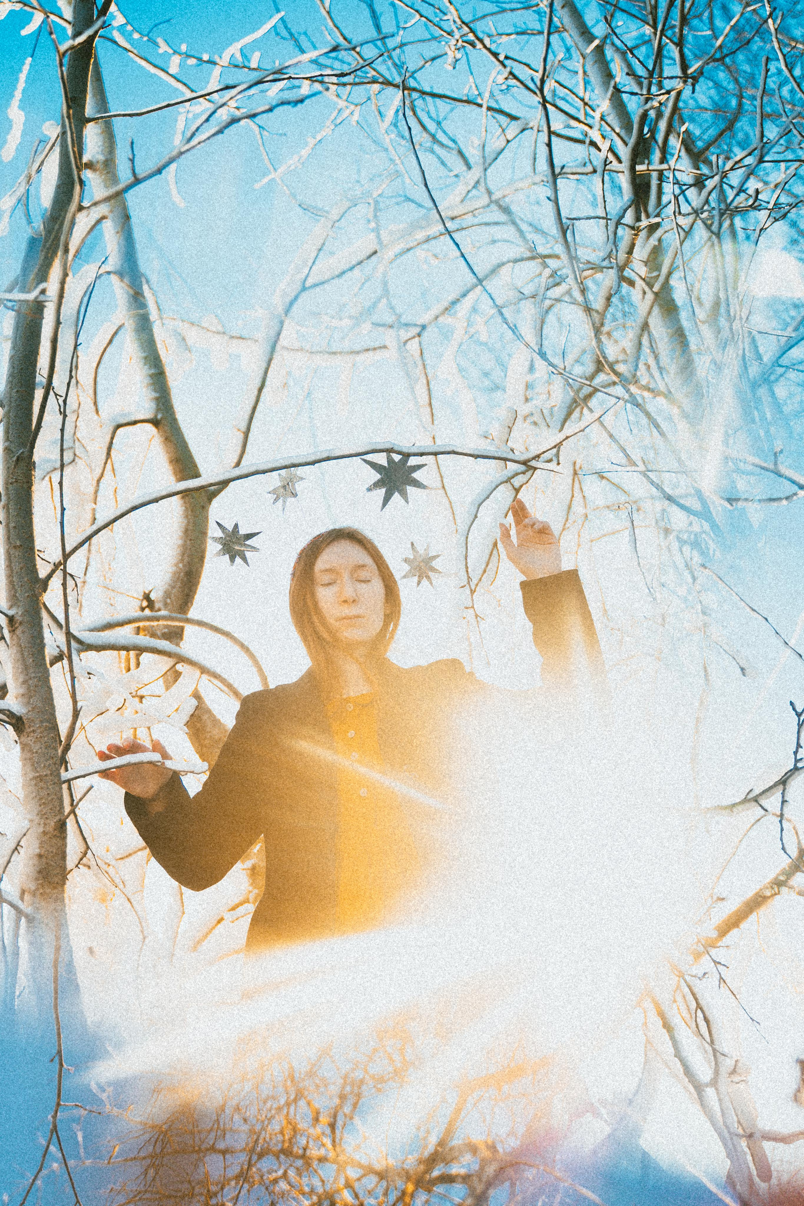 Зимнего солнца сны. Алиса Аницкая