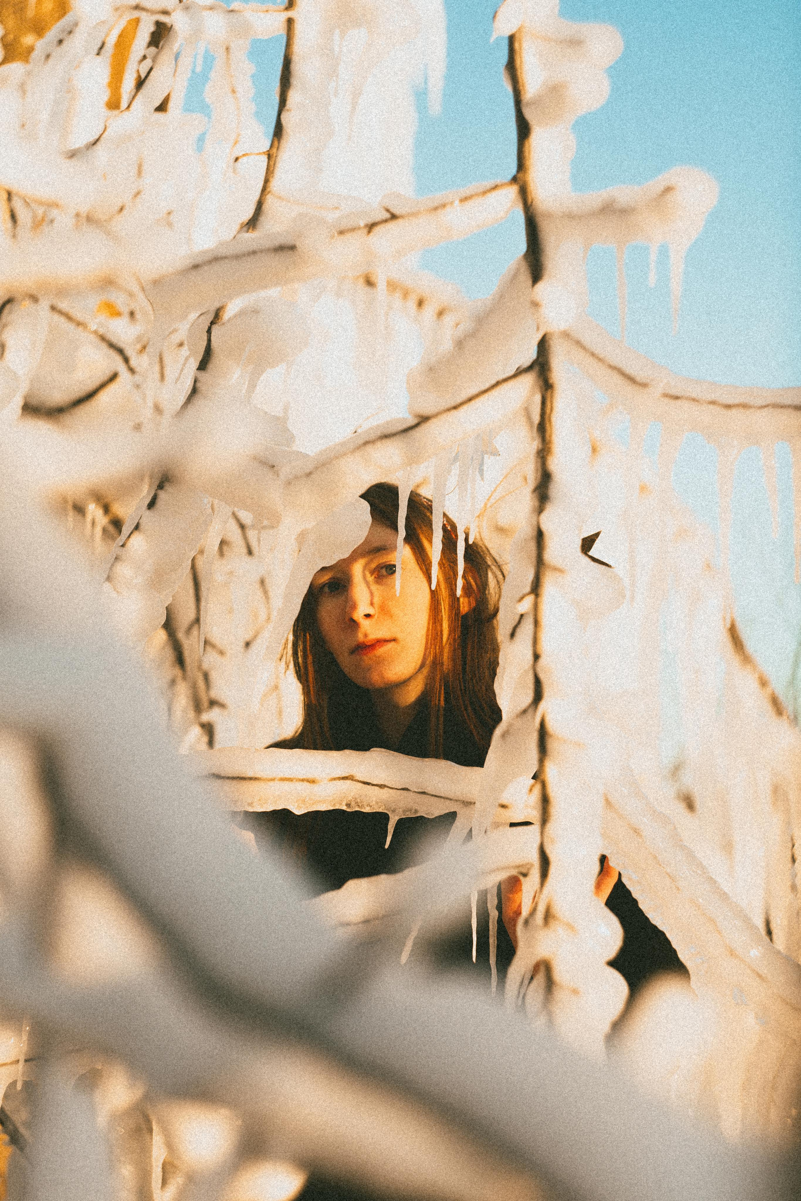 Зимнего солнца сны. Алиса Аницкая