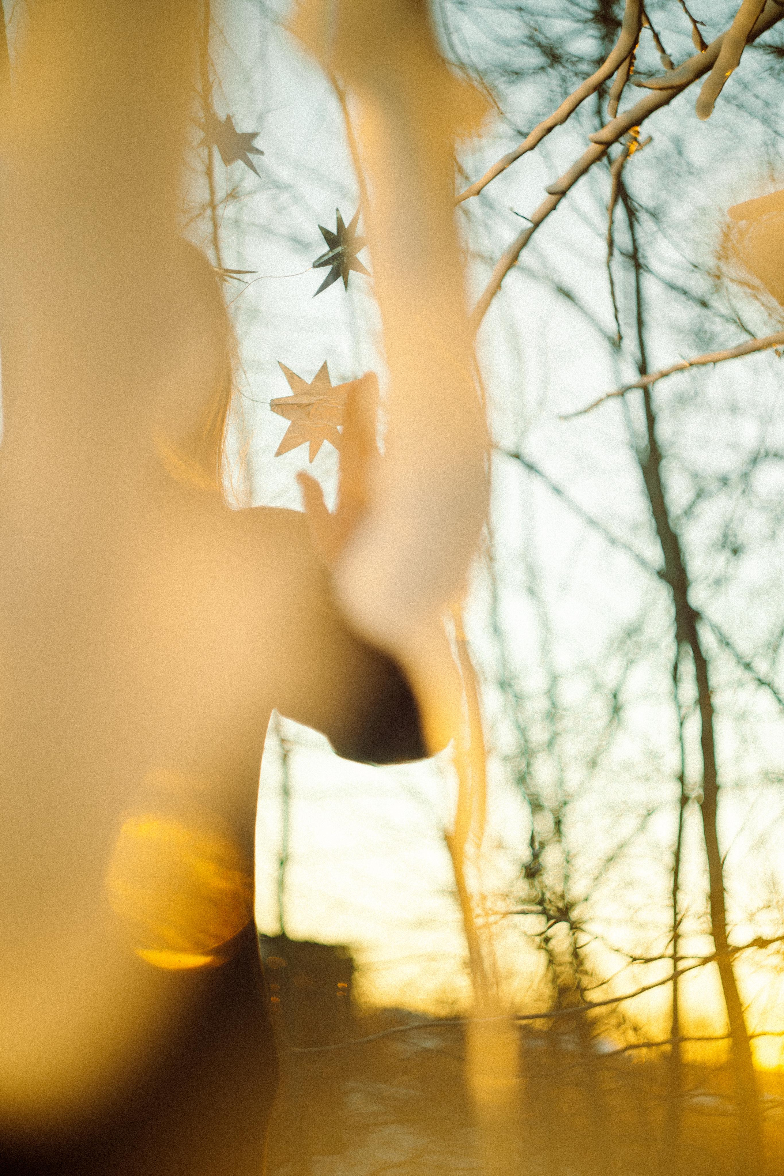 Зимнего солнца сны. Алиса Аницкая