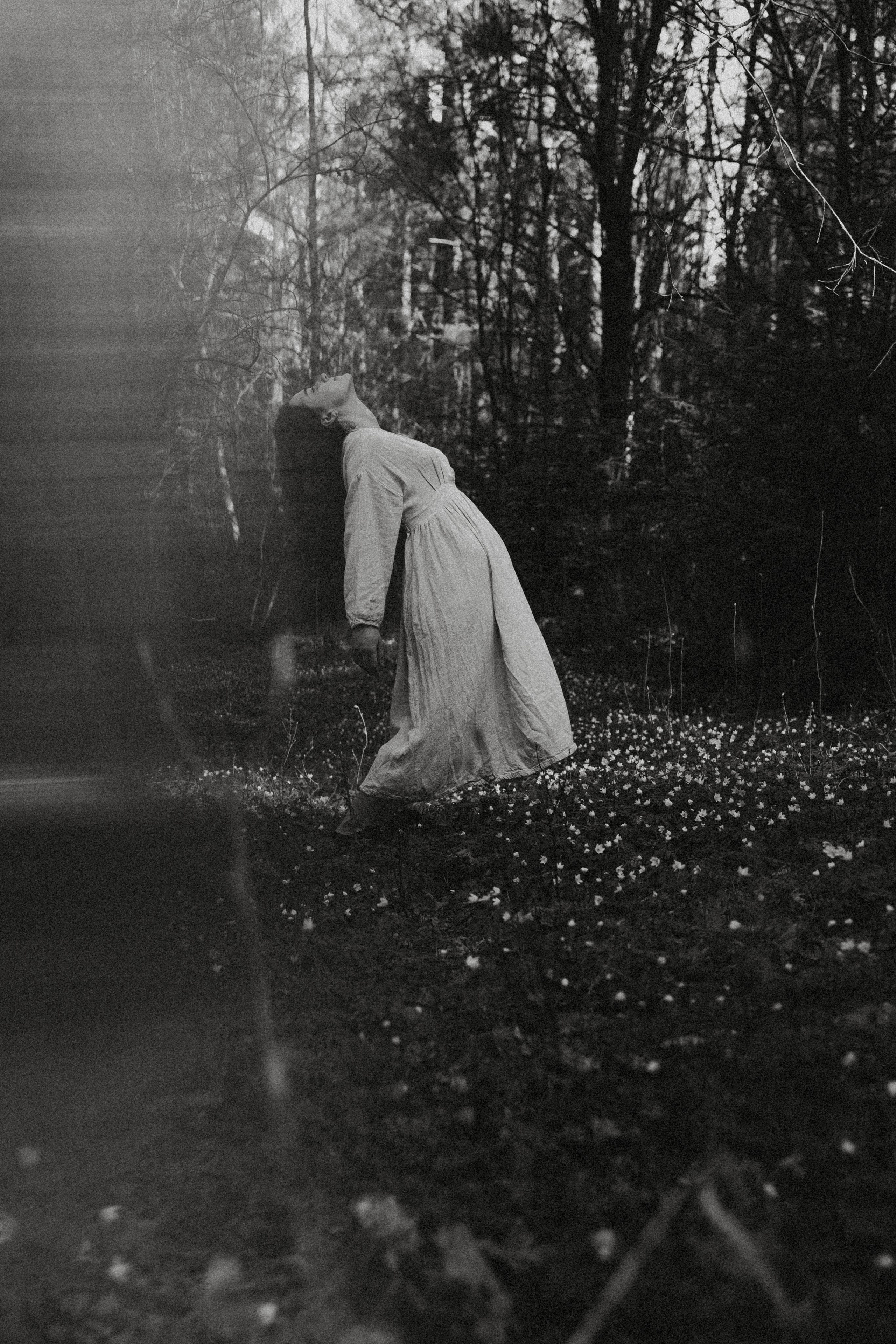 Алмазное небо. Алиса Аницкая