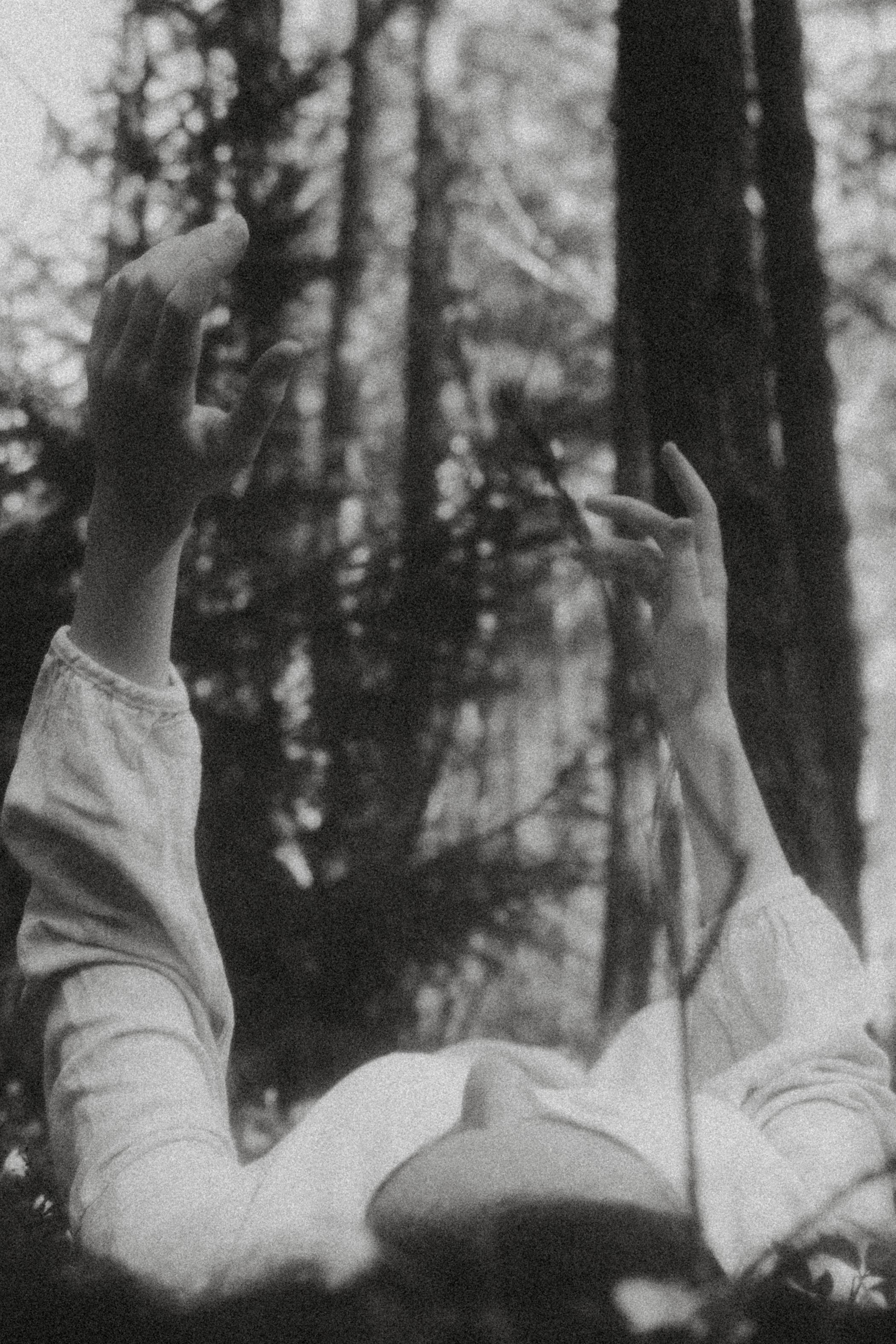 Алмазное небо. Алиса Аницкая